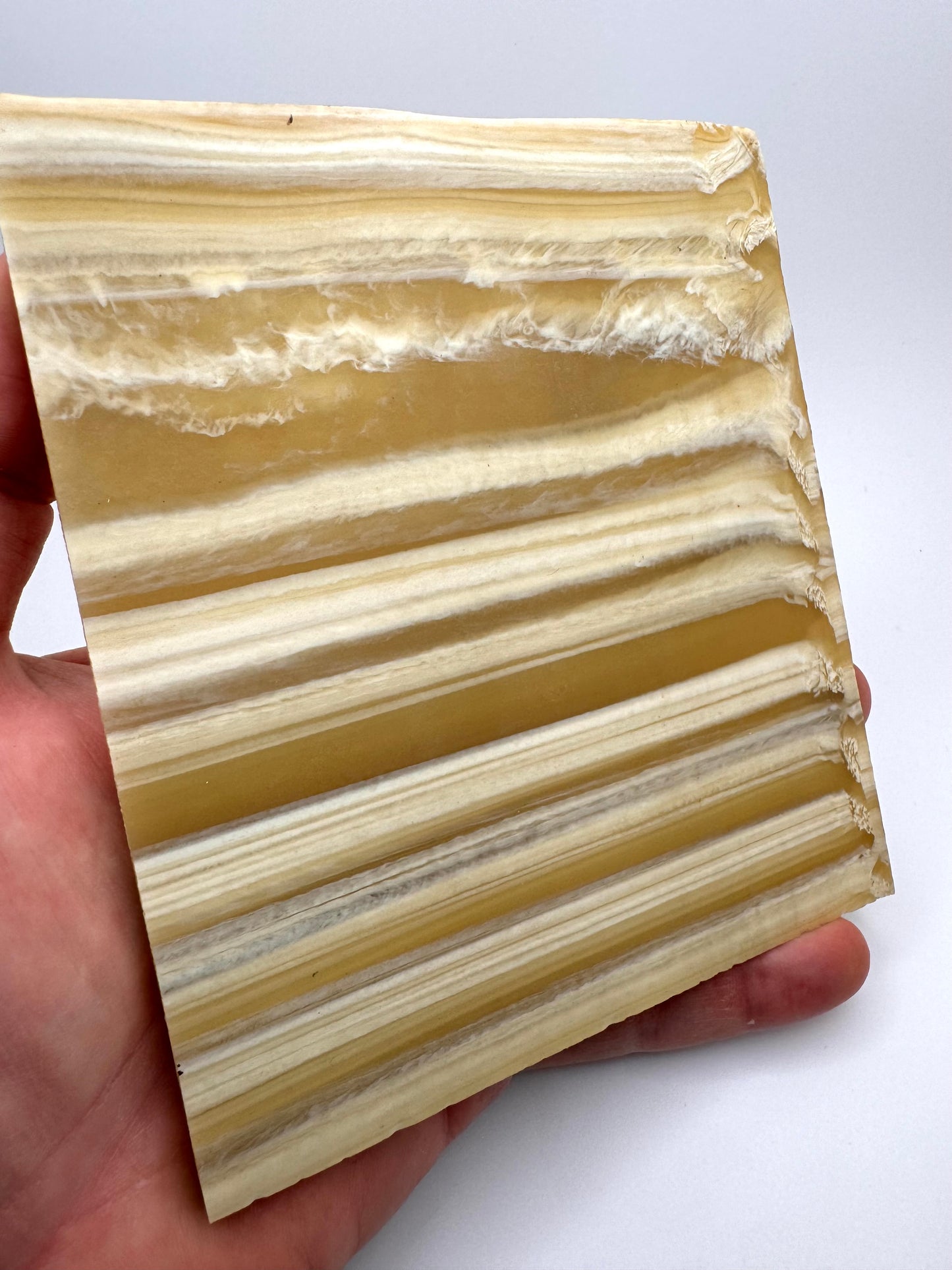 Antique Tan/Ivory Galalith 5 5/8" x 5" x .15"