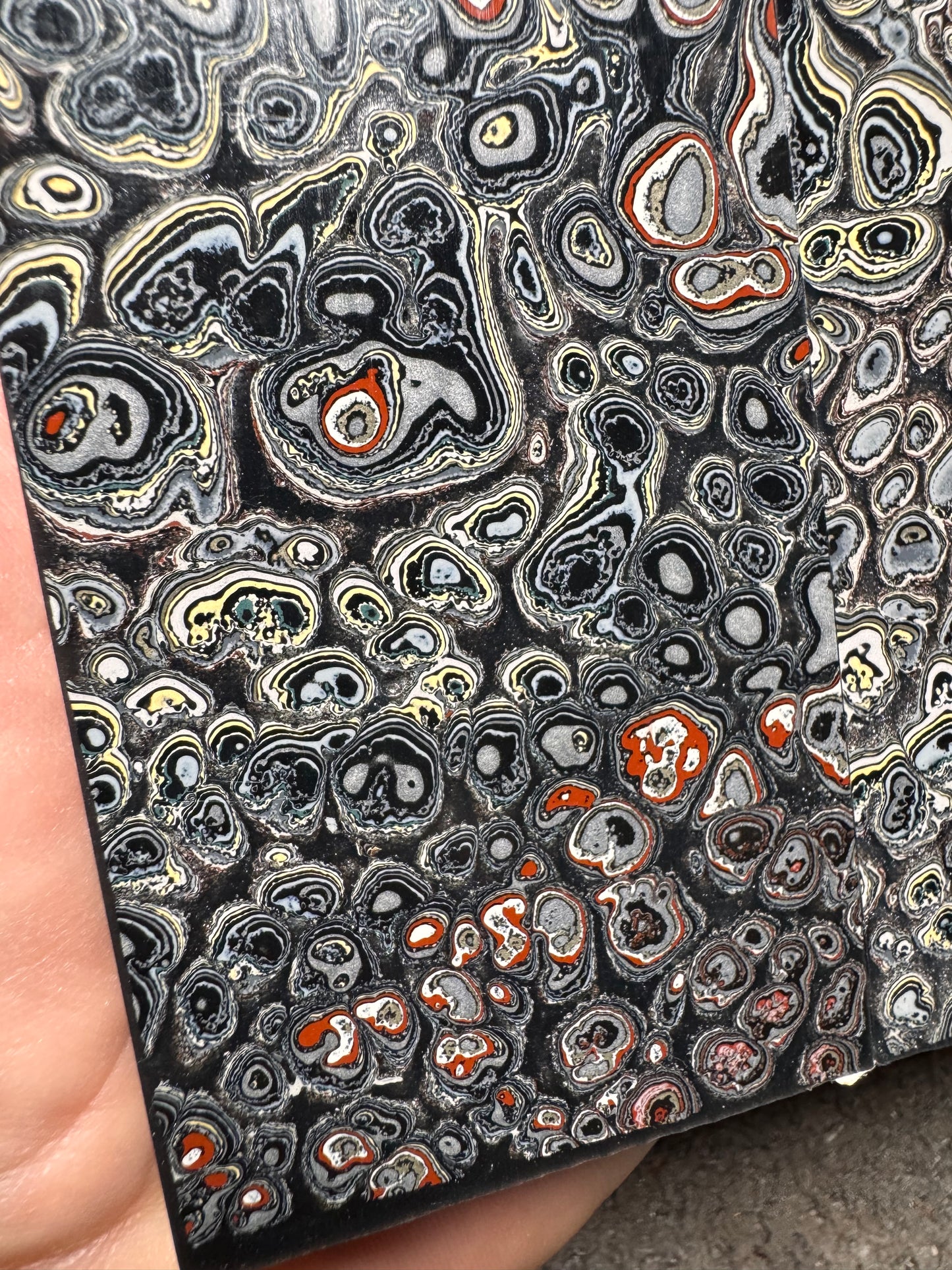 Maritime/Naval Fordite “Eye Burl” Scales 6”x2”x.33”