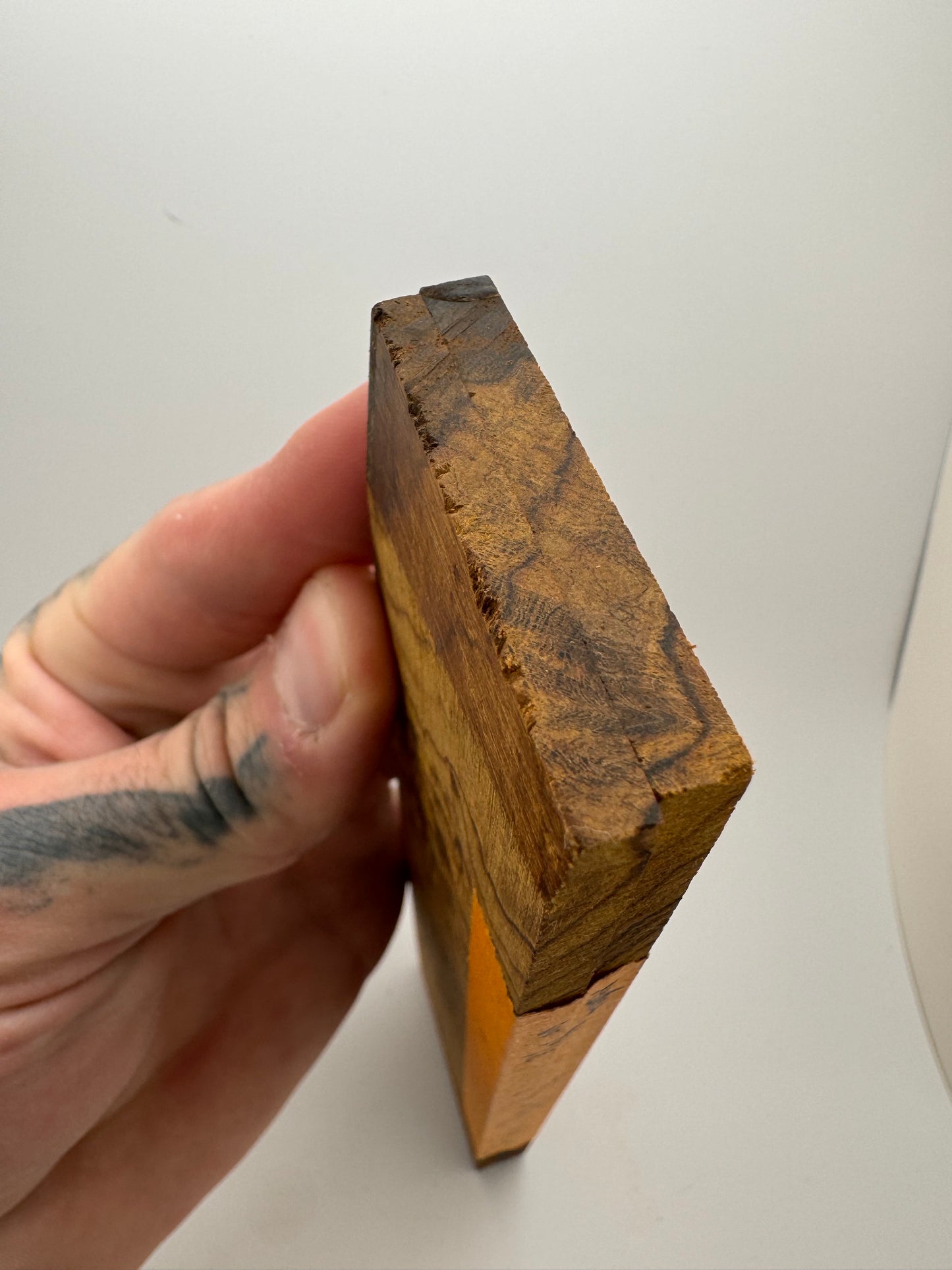 Exhibition-Grade Desert Ironwood Burl Scales 7 1/4-8” x 1 7/8” x 1/4”