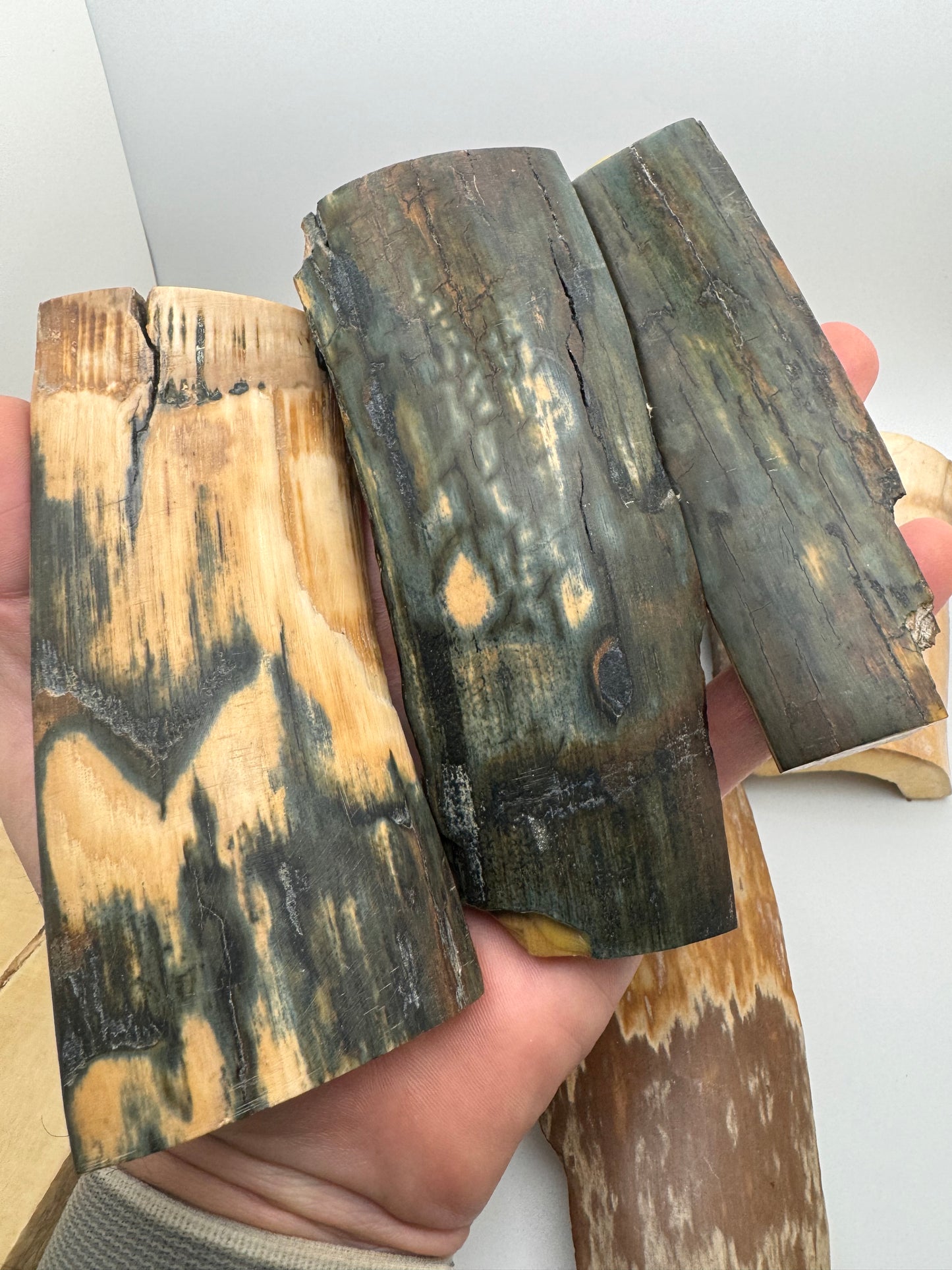 Fossil Mammoth Tusk 18 Piece Lot