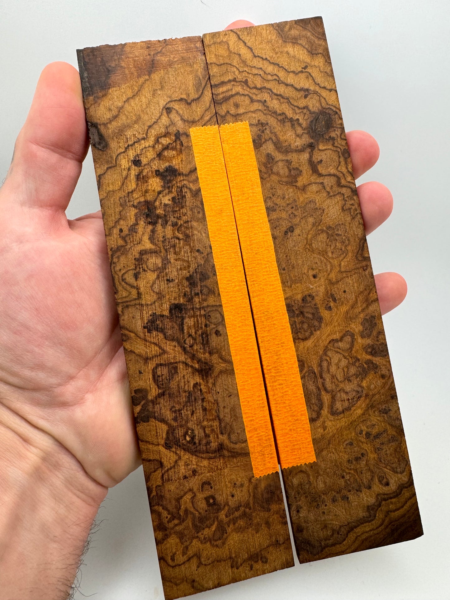 Exhibition-Grade Desert Ironwood Burl Scales 7 1/4-8” x 1 7/8” x 1/4”