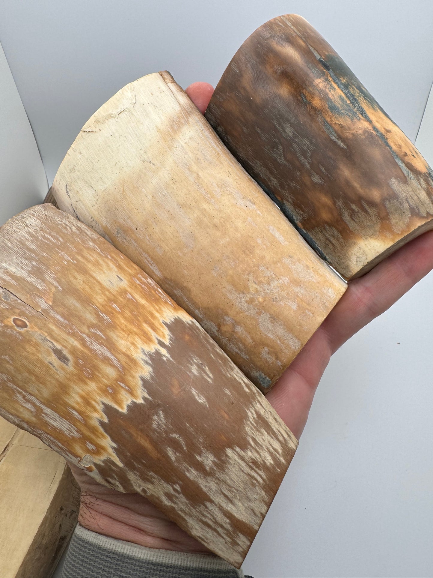 Fossil Mammoth Tusk 18 Piece Lot