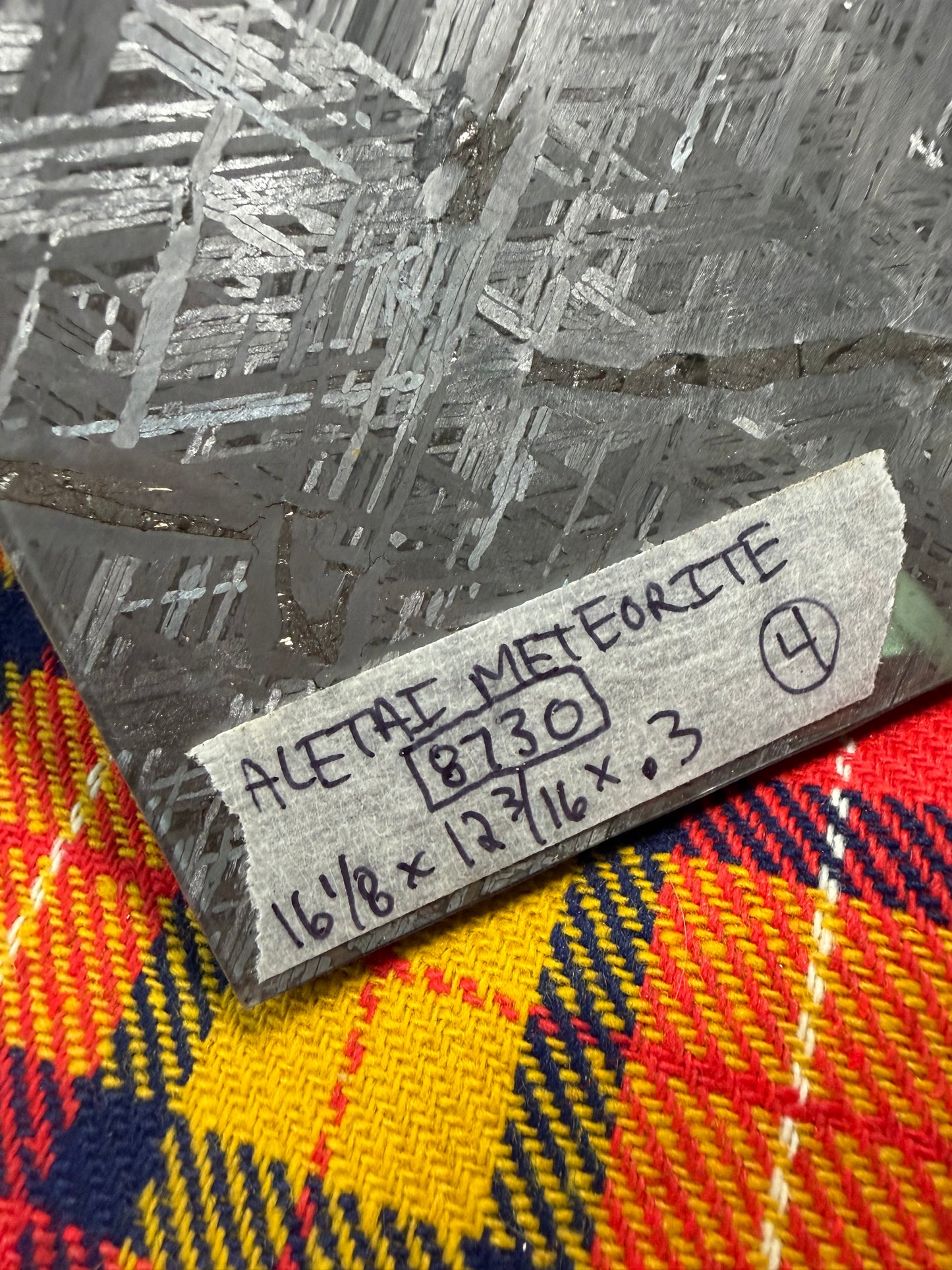Aletai Meteorite (4) 16 1/8” x 12 3/16” x .3” (8730 Grams)