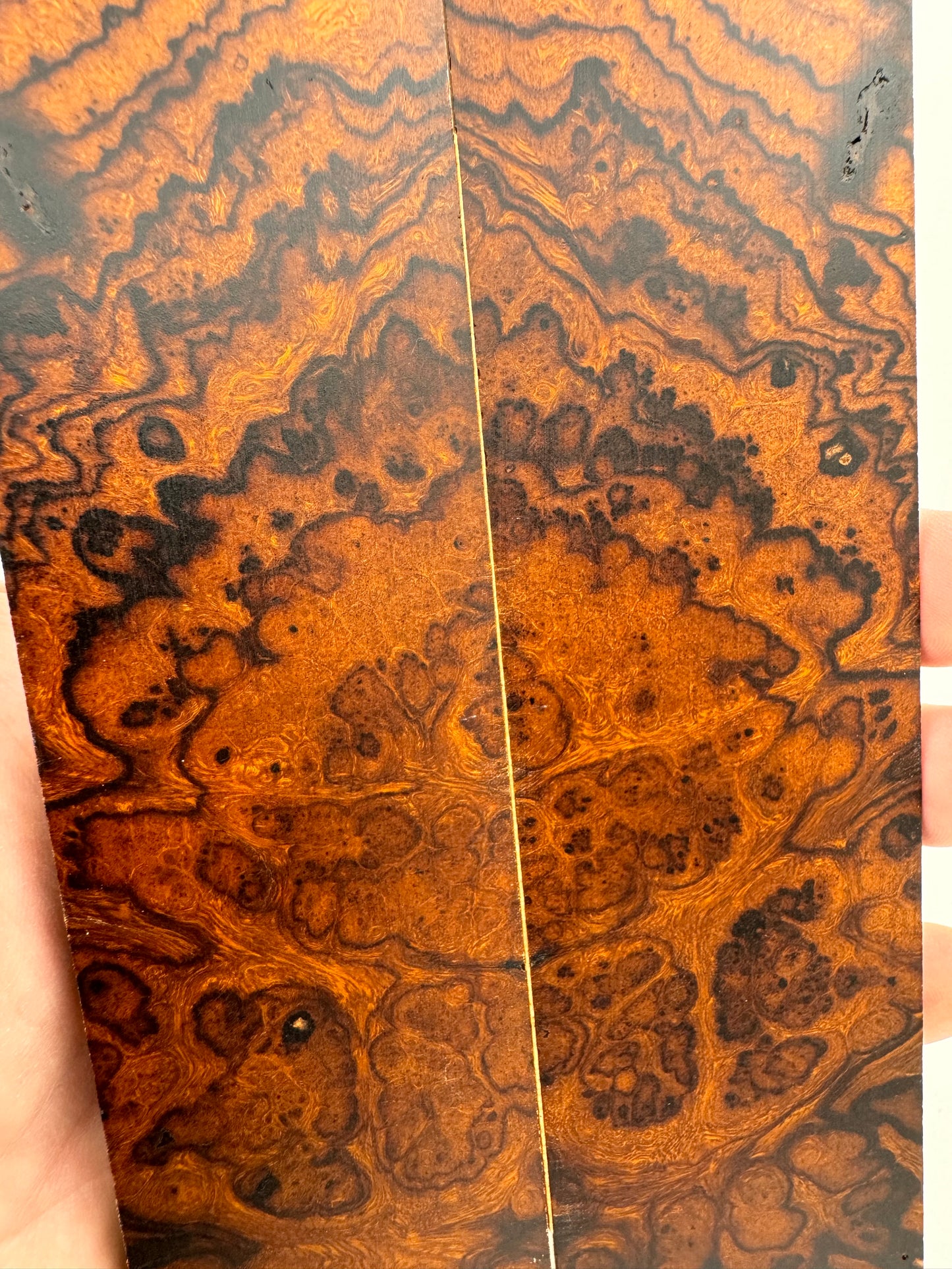 Exhibition-Grade Desert Ironwood Burl Scales 7 1/4-8” x 1 7/8” x 1/4”