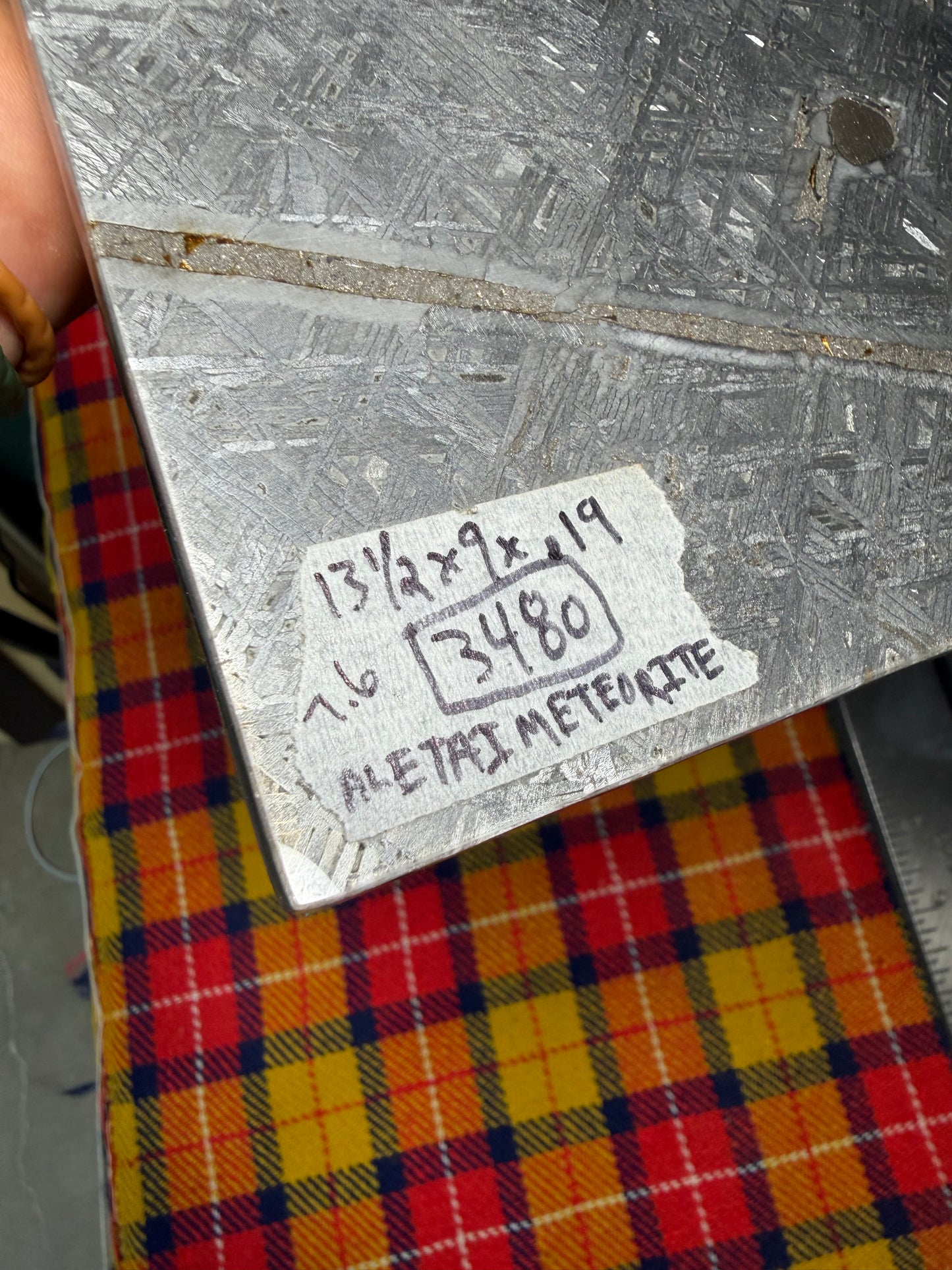 Aletai Meteorite (1) 13 1/2” x 9” x .19” (3480 Grams)