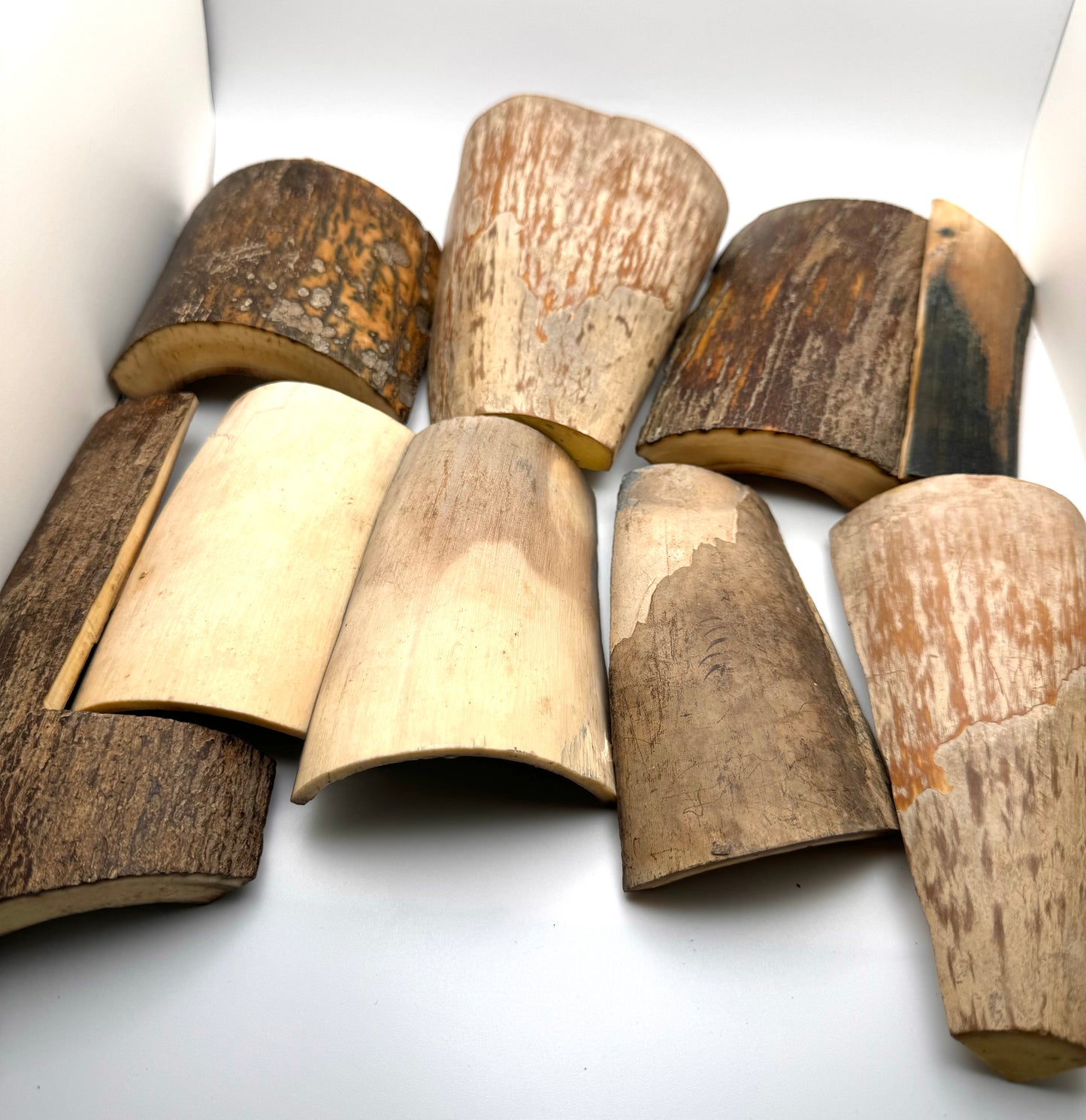 Fossil Mammoth Tusk 18 Piece Lot
