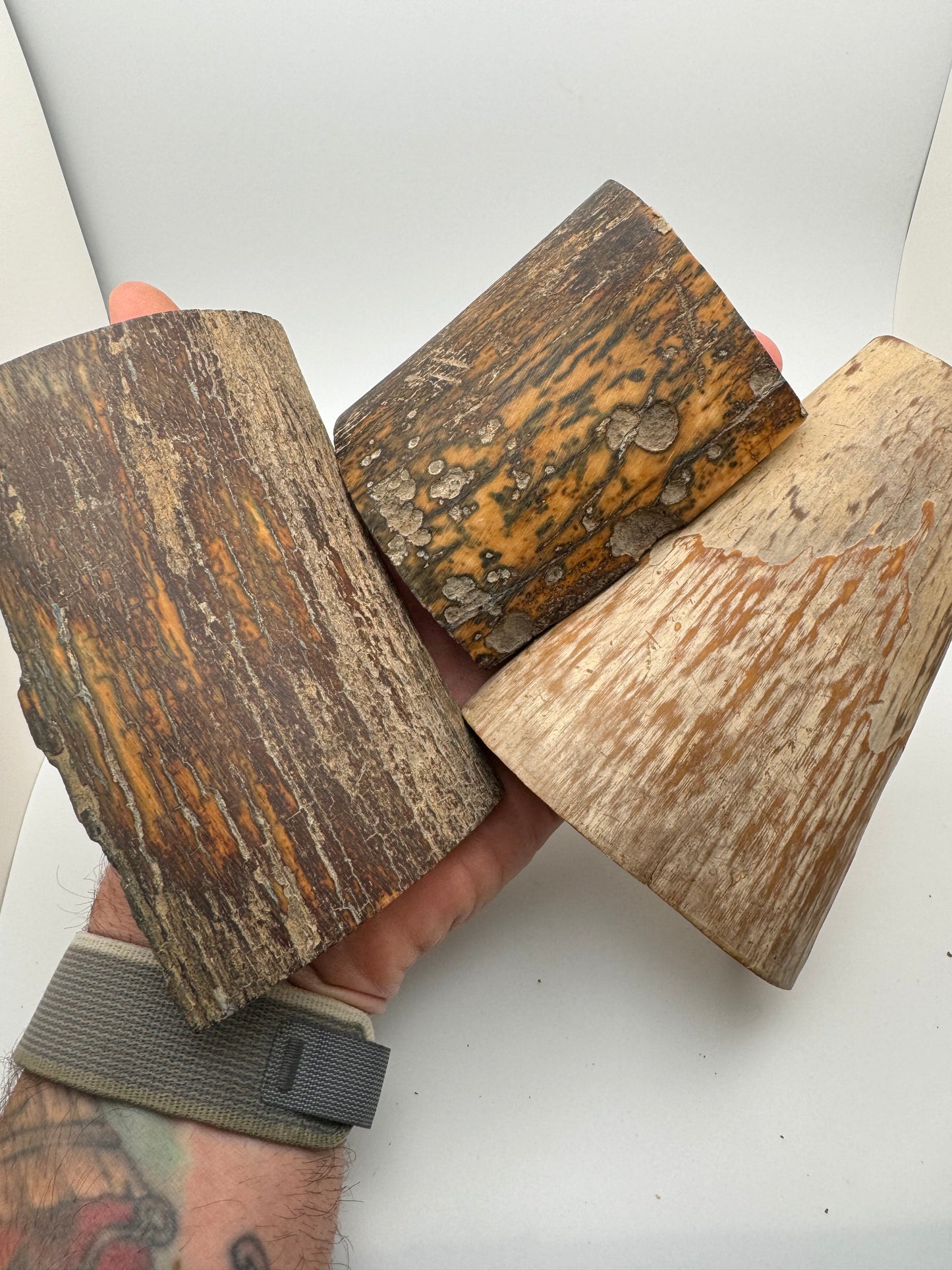 Fossil Mammoth Tusk 18 Piece Lot