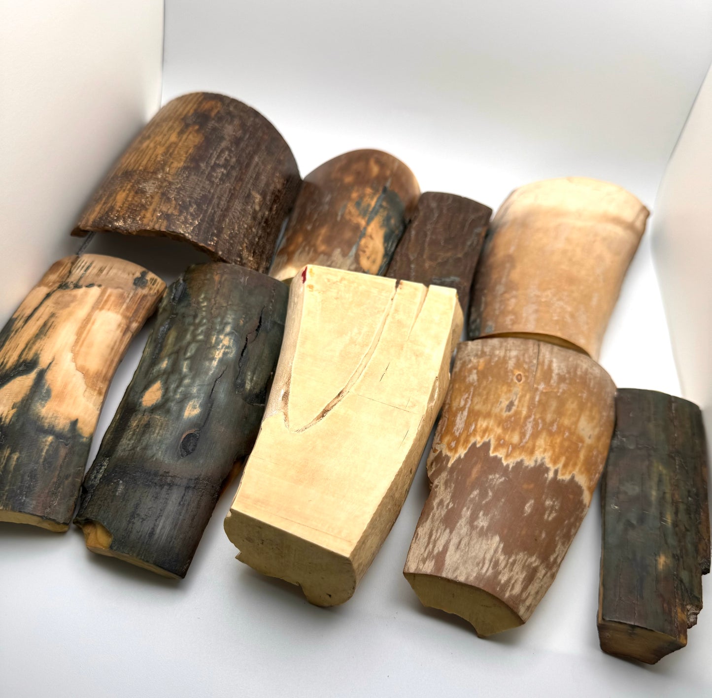 Fossil Mammoth Tusk 18 Piece Lot