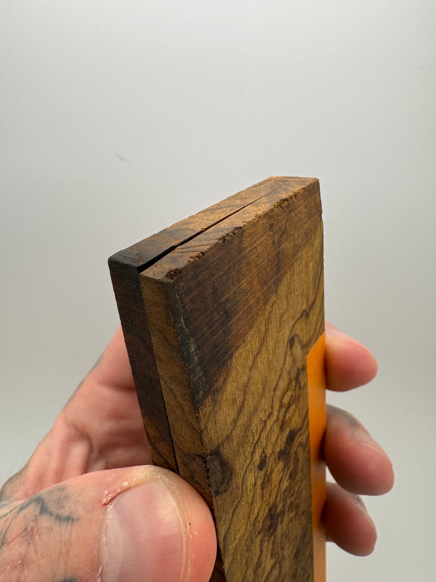 Exhibition-Grade Desert Ironwood Burl Scales 7 1/4-8” x 1 7/8” x 1/4”