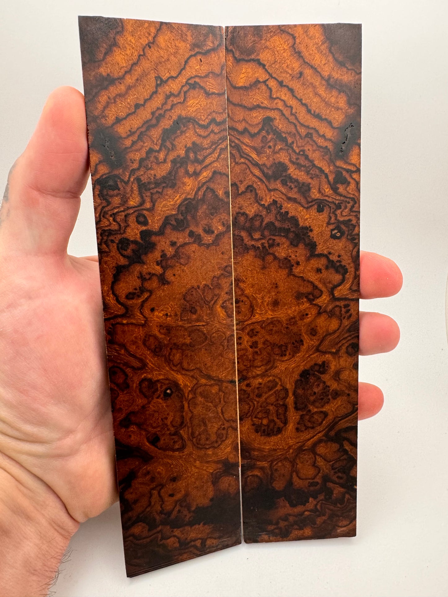 Exhibition-Grade Desert Ironwood Burl Scales 7 1/4-8” x 1 7/8” x 1/4”