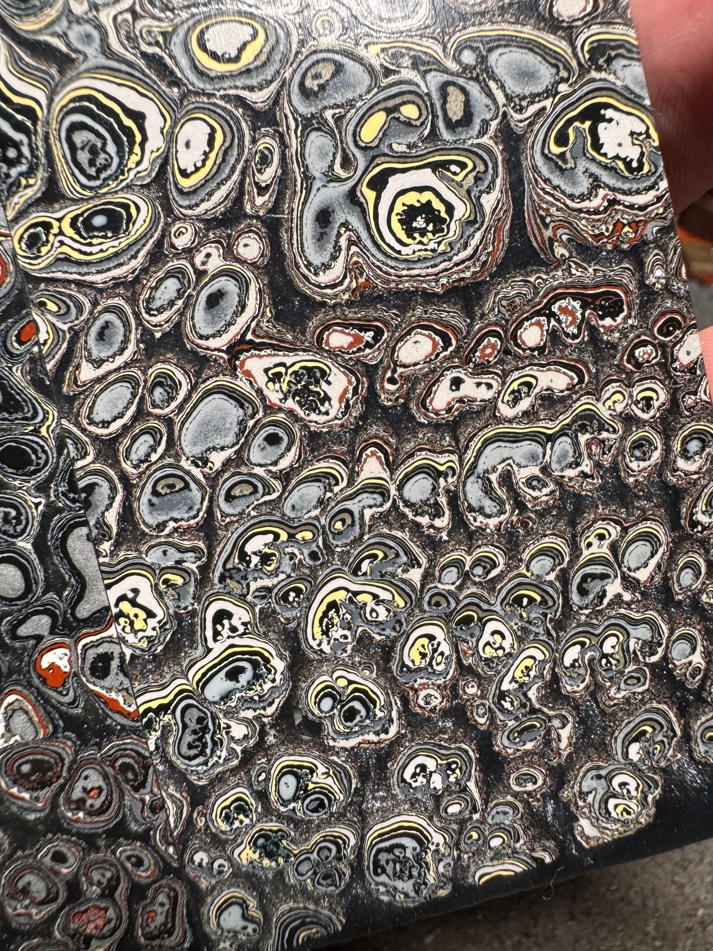 Maritime/Naval Fordite “Eye Burl” Scales 6”x2”x.33”