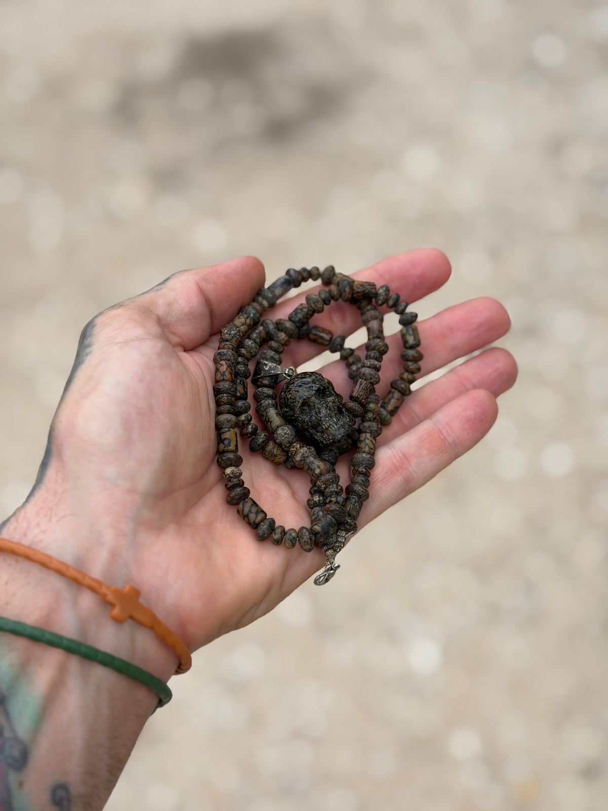 Hand-Carved Dinosaur Gem Bone Skull and Necklace By Mark Noll