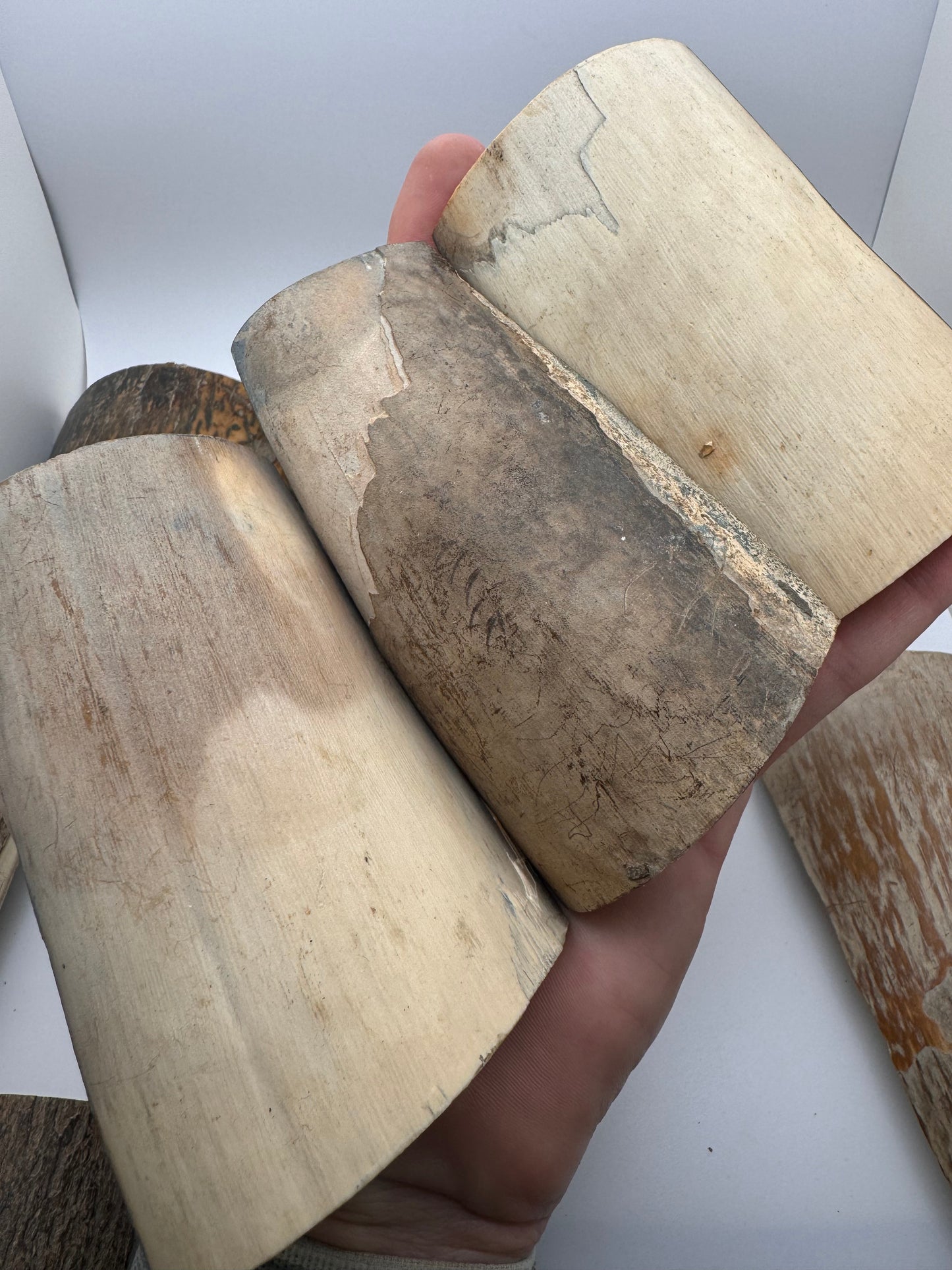 Fossil Mammoth Tusk 18 Piece Lot