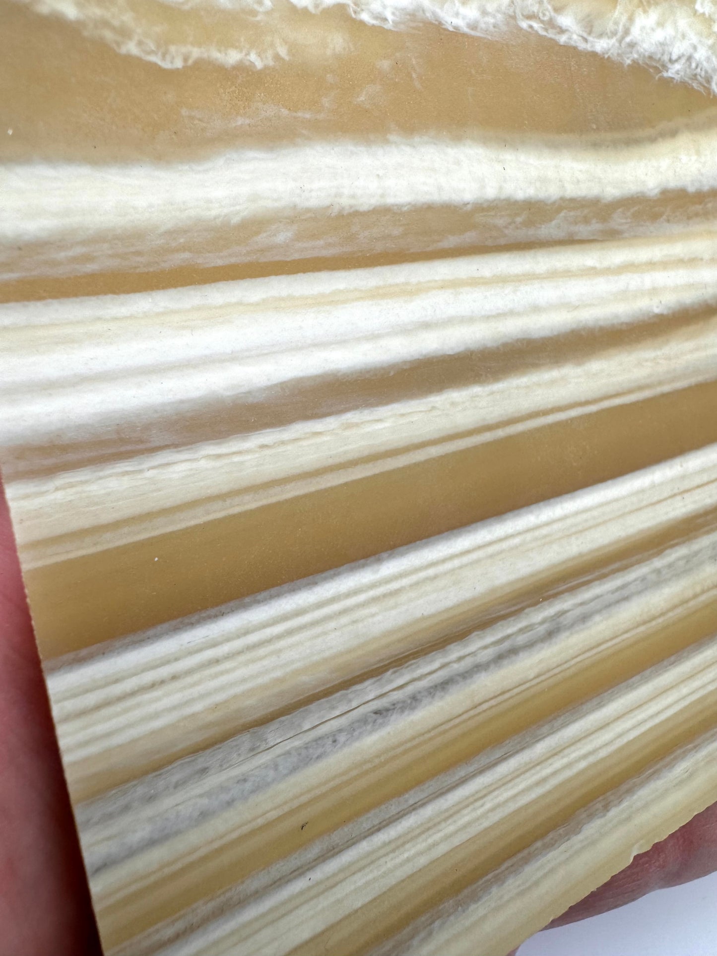 Antique Tan/Ivory Galalith 5 5/8" x 5" x .15"