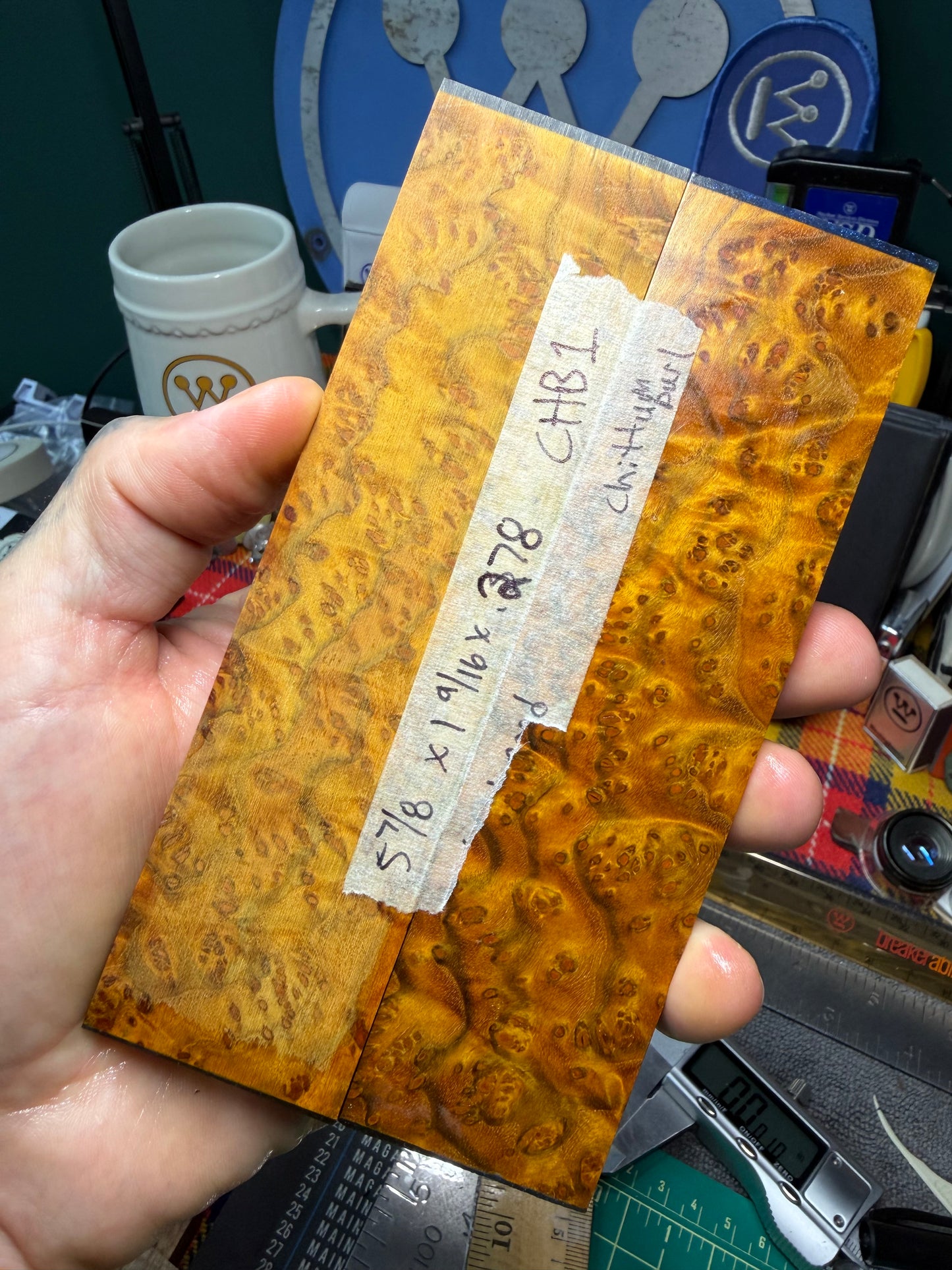 Chittum Burl Scales CHB1 5 7/8”x1 9/16”x.278