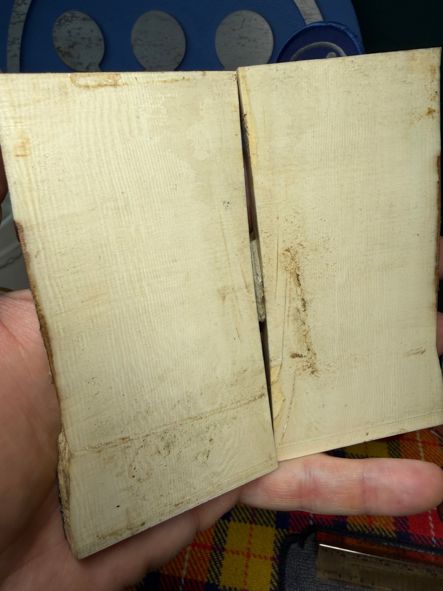 Mammoth Tusk Ivory Center Cut Scales 4 5/8”x2 3/16”x.27”
