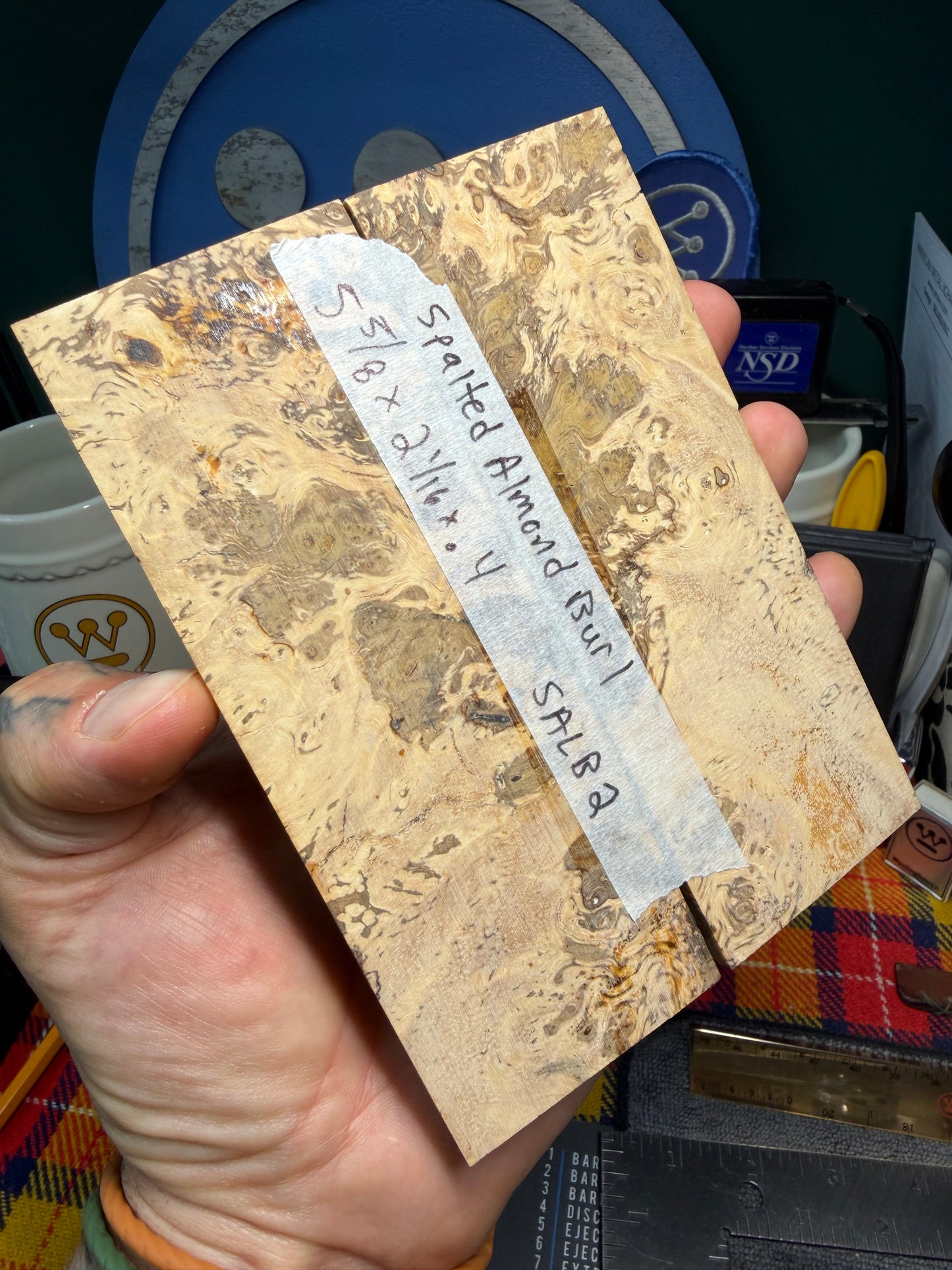 Spalted Almond Burl Scales SALB2 5 5/8”x2 1/16”x.4”