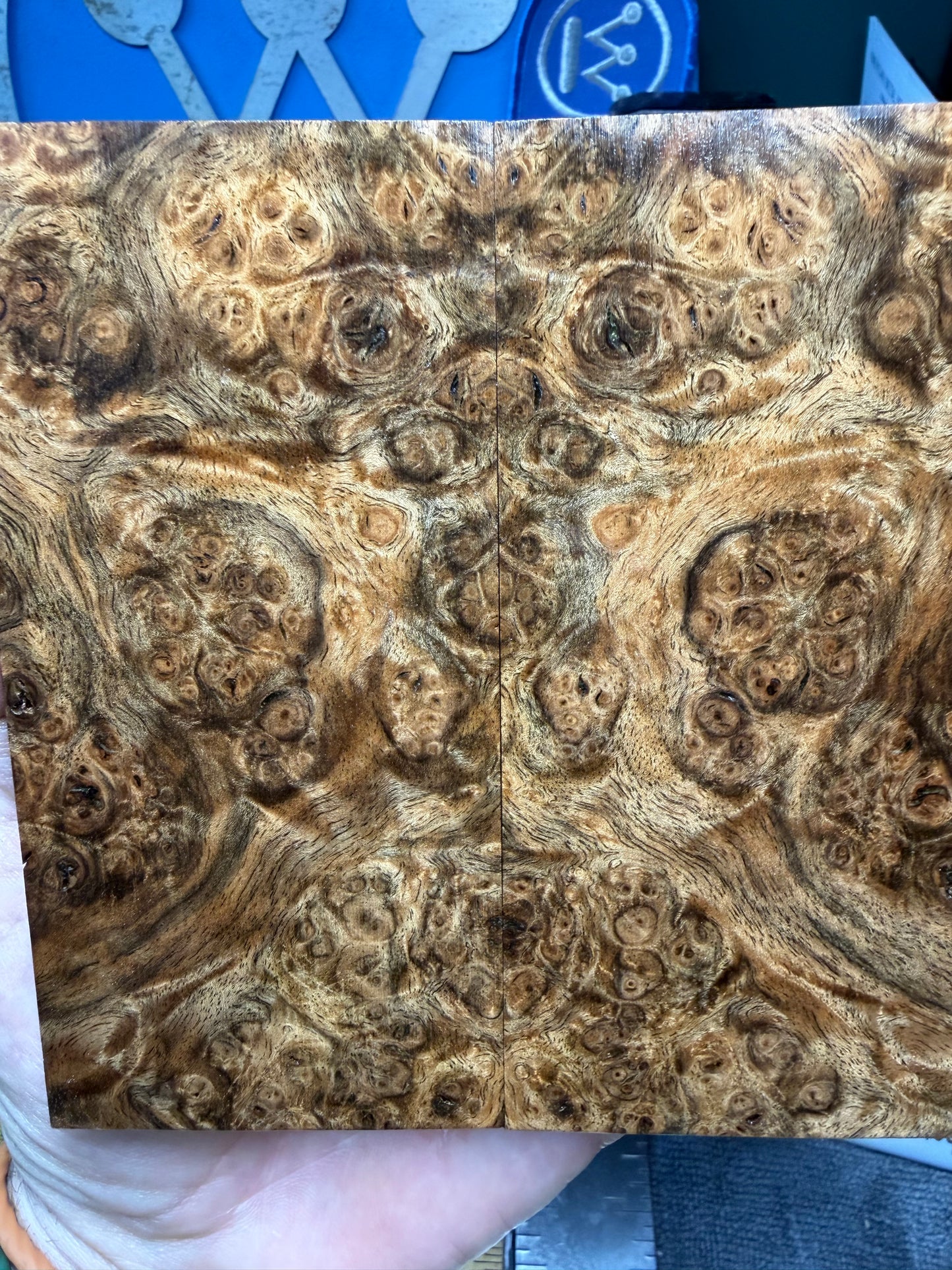 Turkish Walnut Burl Scales TWB2 4 15/16”x2 3/8”x.47”