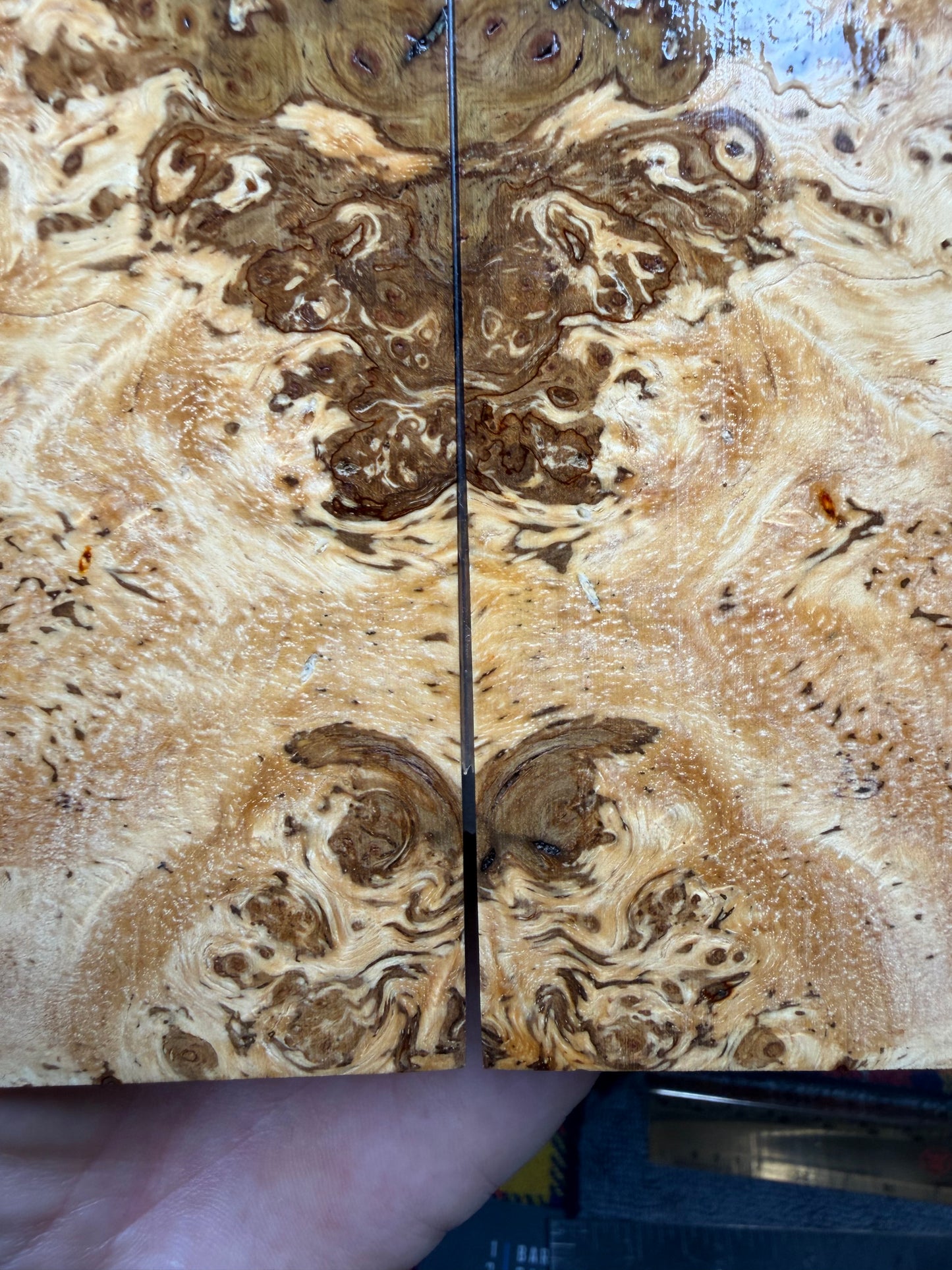 Spalted Almond Burl Scales SALB2 5 5/8”x2 1/16”x.4”