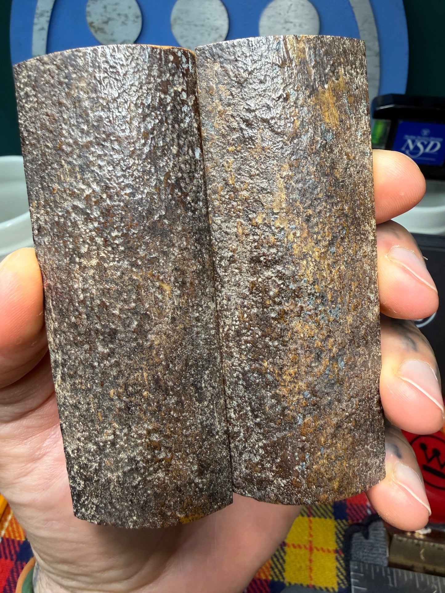 Stabilized Fossil Woolly Mammoth Tusk Scales WMT2 3 13/16”x1 3/8”x.37”