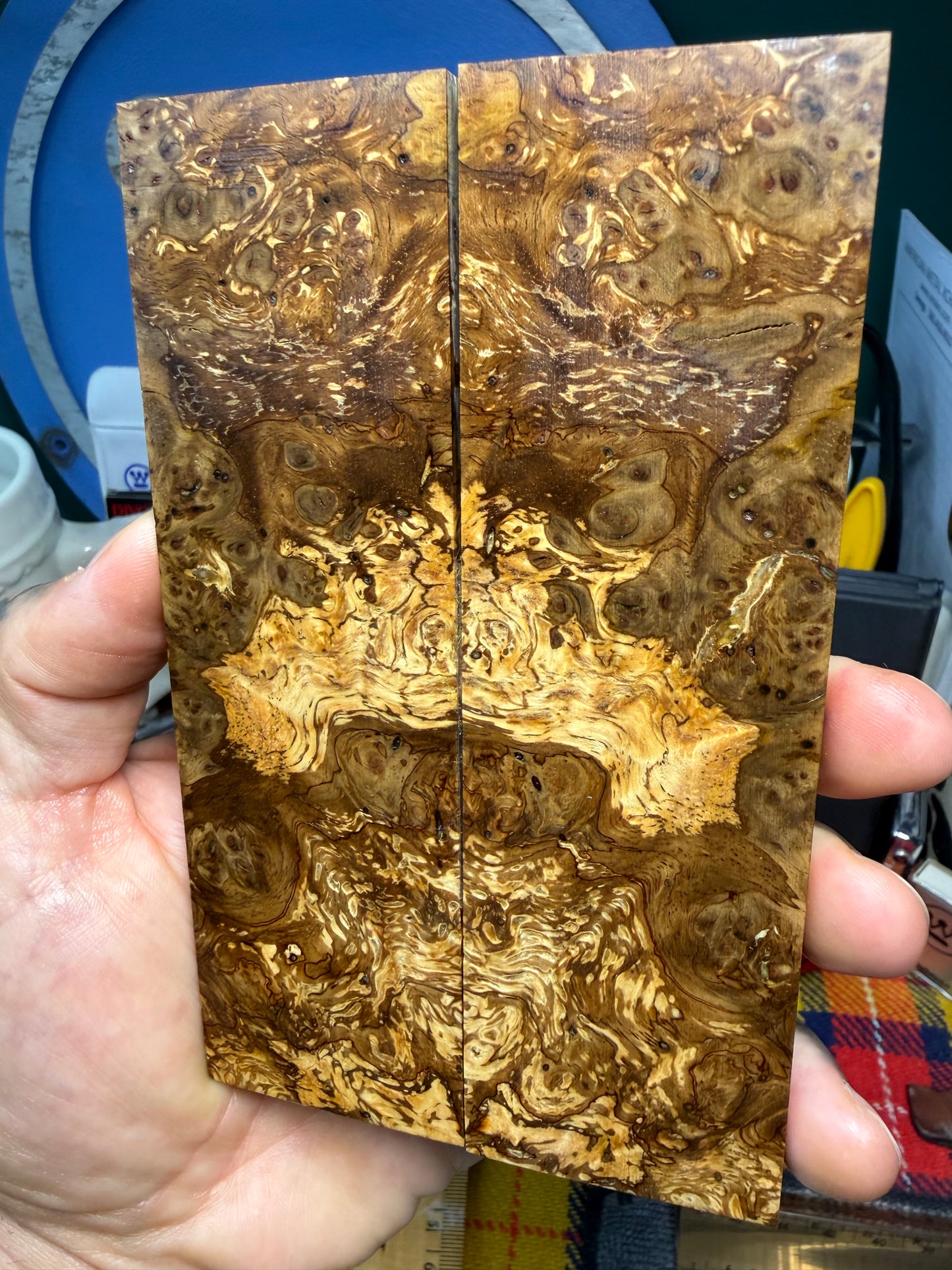 Spalted Almond Burl Scales SALB4 5 5/8”x1 11/16”x.42”