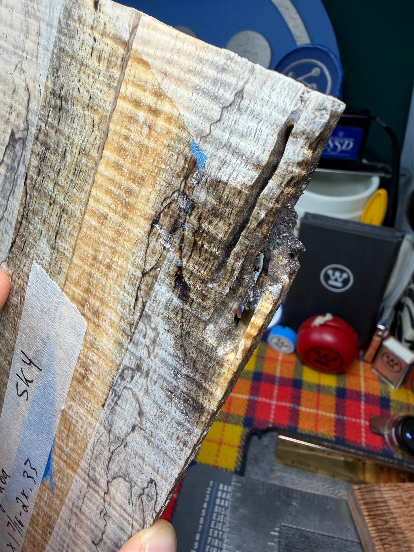 Spalted Curly Koa Scales SK4 8 1/2-10 1/2”x1 7/16-2”x.33