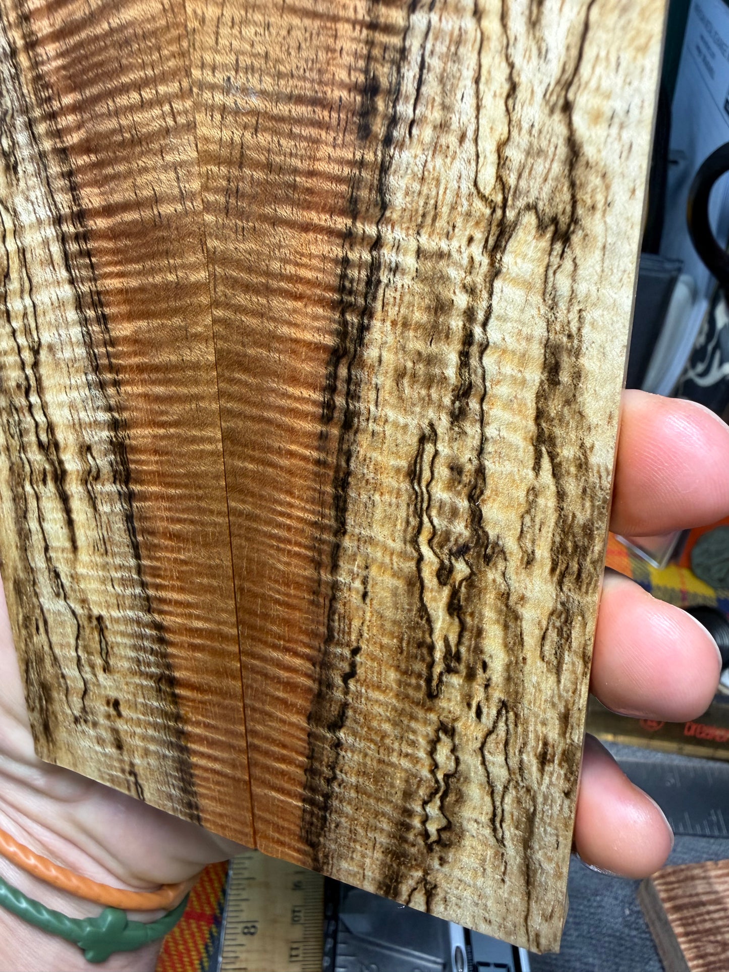 Spalted Curly Koa Scales SK1 5 7/8”x1 15/16”x.39”