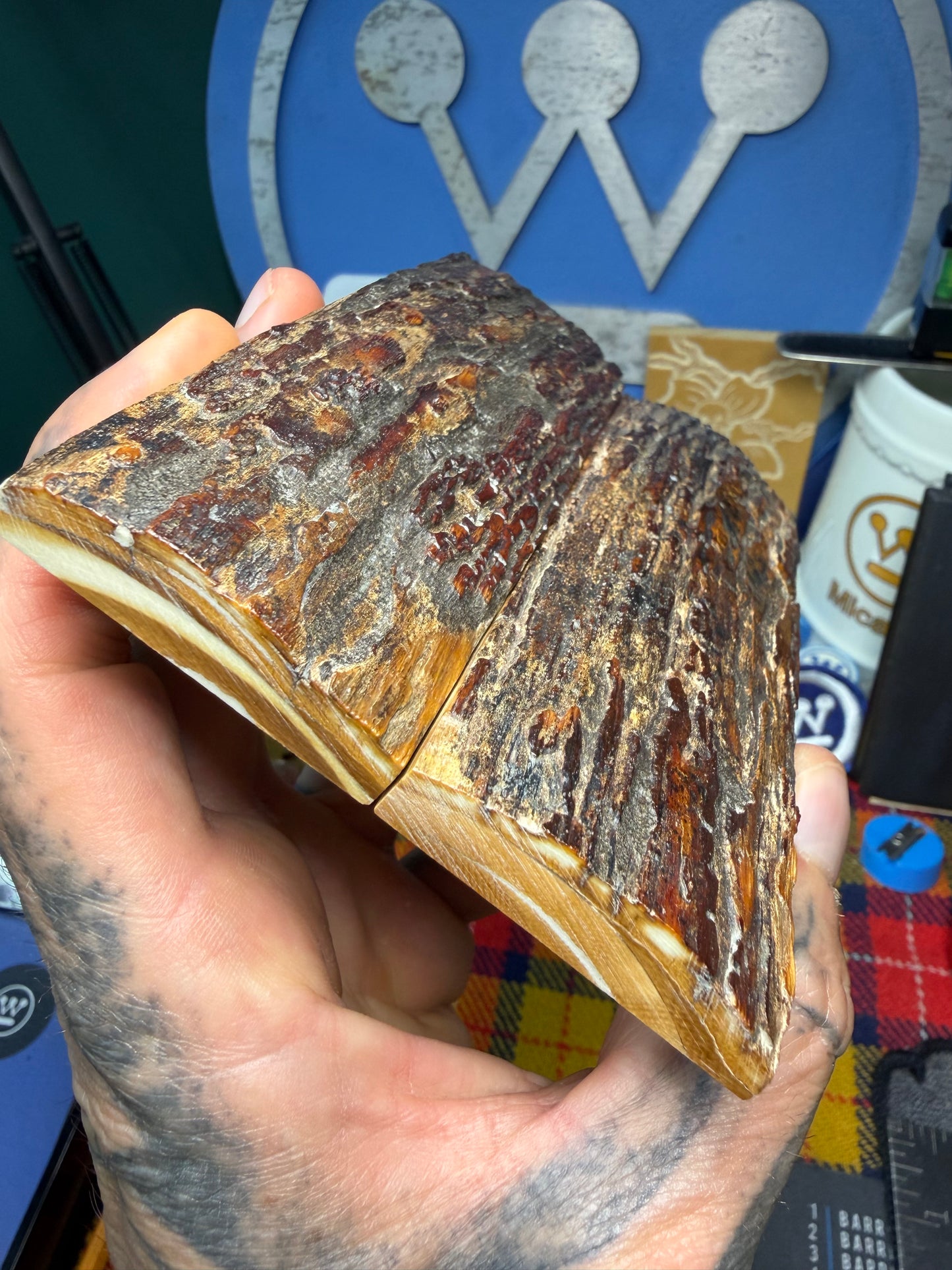 Stabilized Fossil Woolly Mammoth Tusk Scales WMT1 4 15/16”x1 3/4”x.43”
