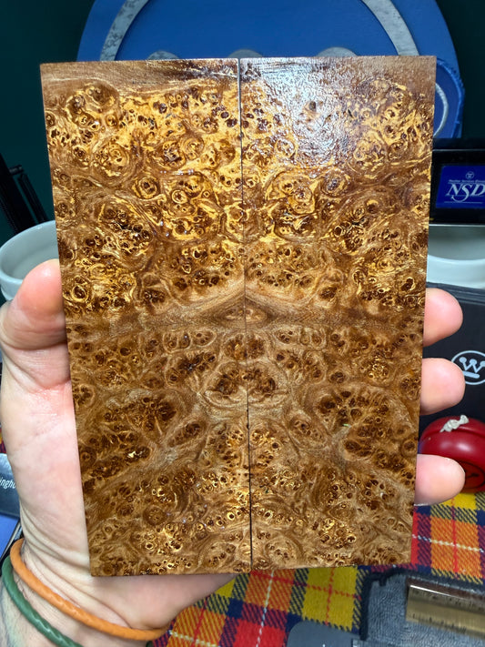 Spalted Almond Burl Scales SALB3 6 1/4”x2 1/8”x.41”