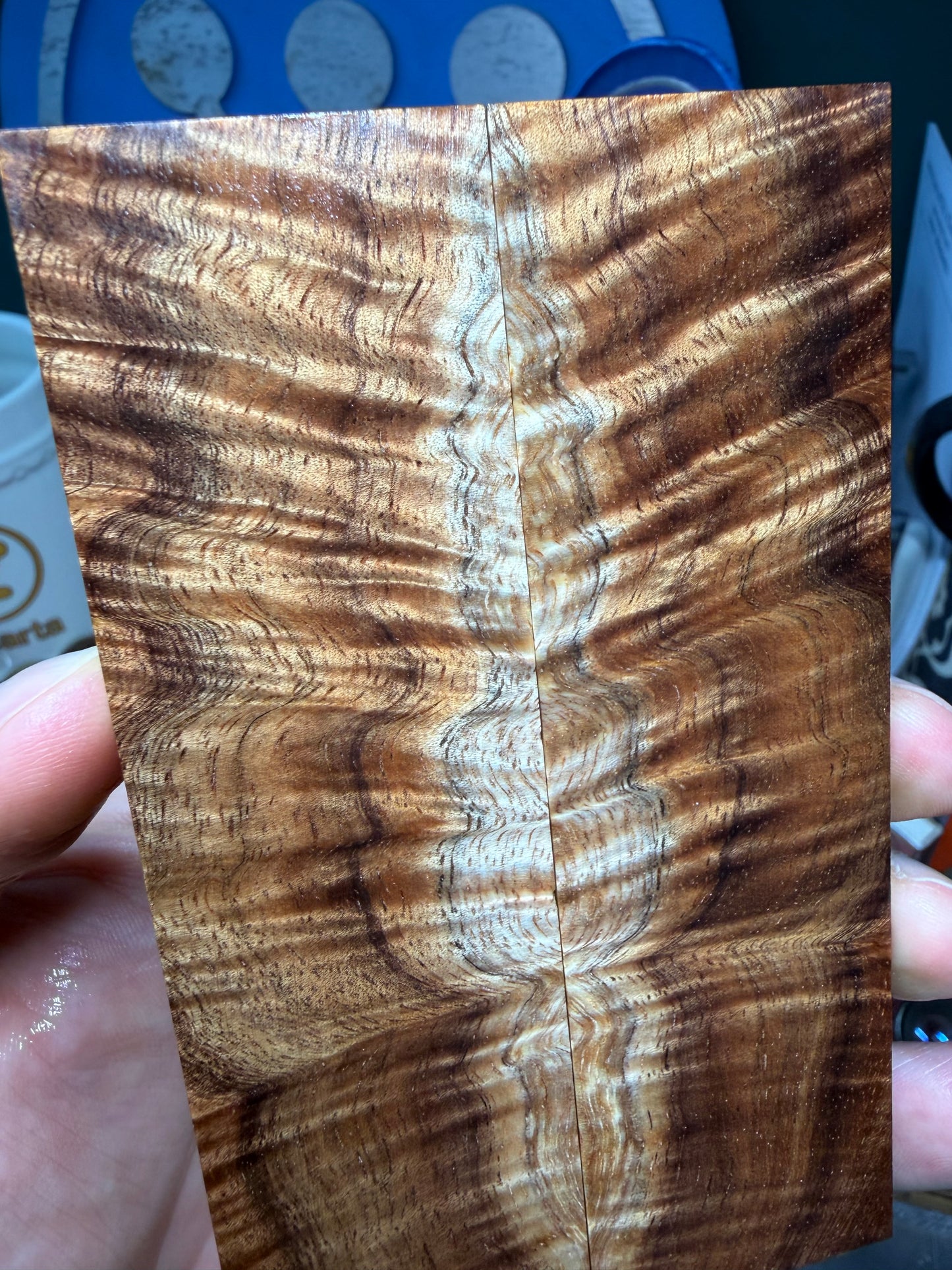 Curly Koa Scales CK1 4 7/8”x1 7/16”x.29