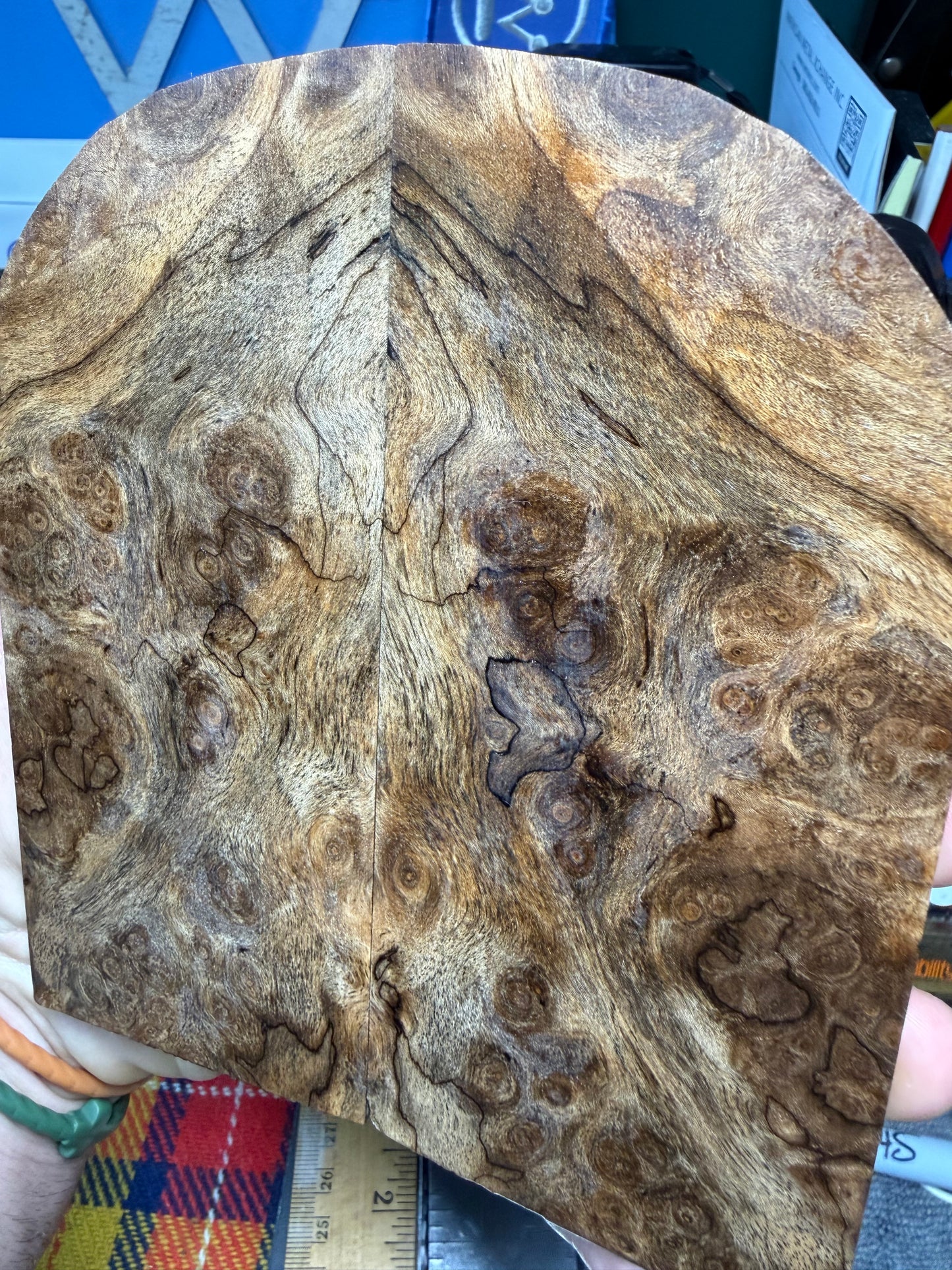 Spalted Turkish Walnut Burl Scales STW1 5 3/4”x2 1/2”x.33+”