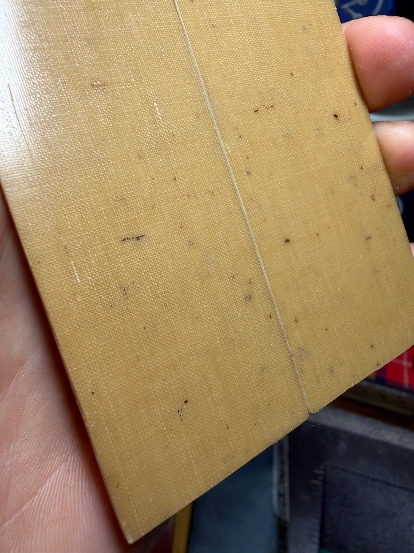Westinghouse Oatmeal Linen Scales 4 1/4”x1 5/16”x.135”