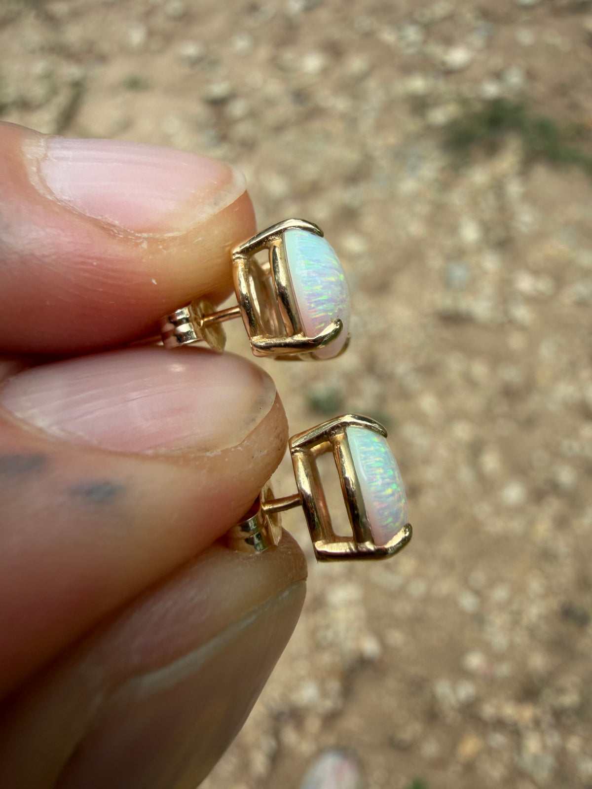 14KT Gold With Opal Studs 10mm x 8mm