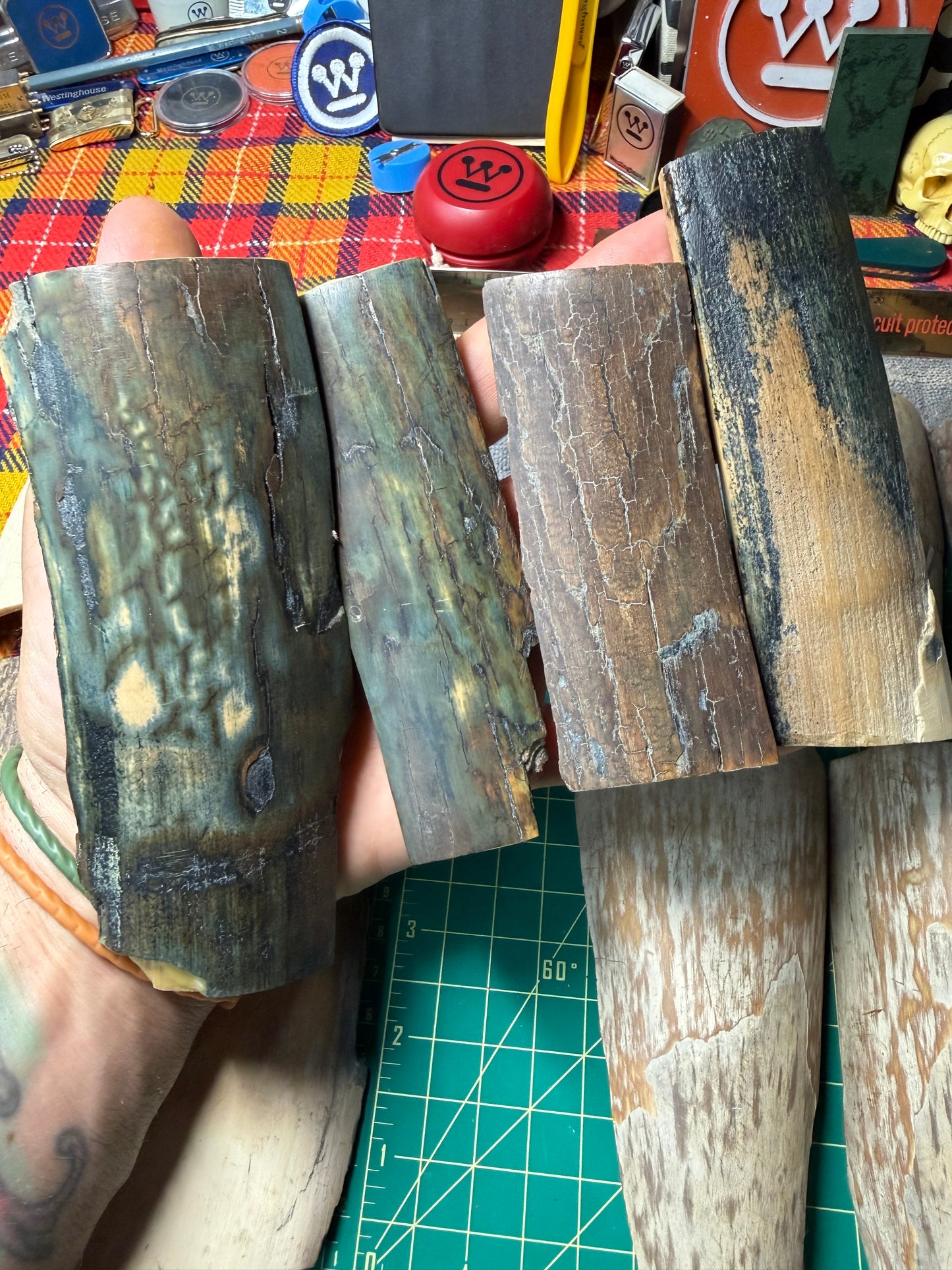 Fossil Woolly Mammoth Tusk (15 PC Lot)