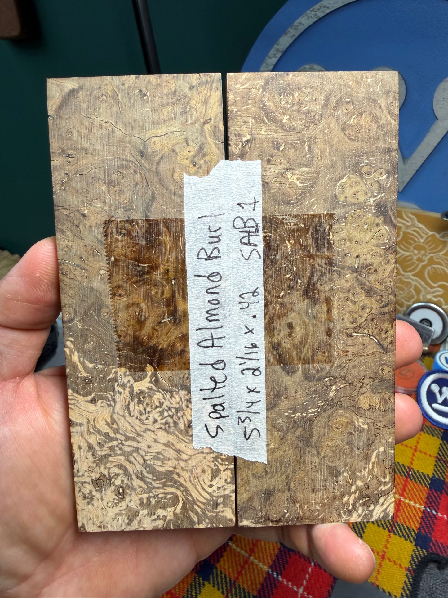 Spalted Almond Burl Scales SALB1 5 3/4”x2 1/16”x.42”