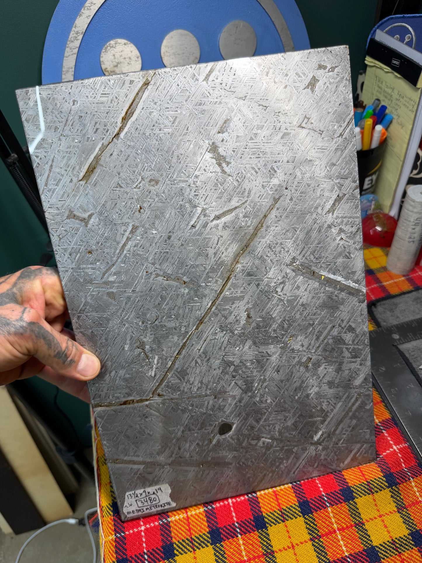 Aletai Meteorite (1) 13 1/2” x 9” x .19” (3480 Grams)