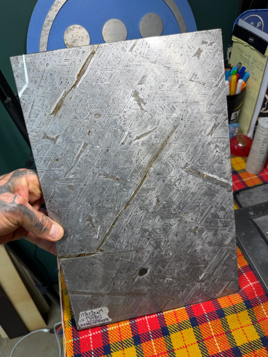 Aletai Meteorite (1) 13 1/2” x 9” x .19” (3480 Grams)