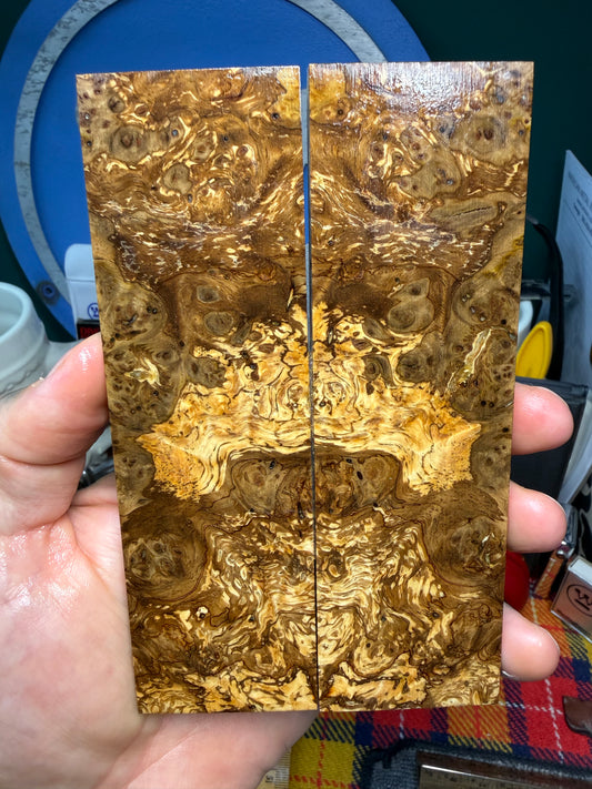Spalted Almond Burl Scales SALB4 5 5/8”x1 11/16”x.42”