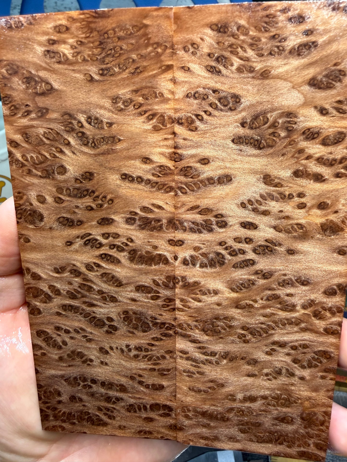 OG Redwood Burl Scales RWB1 5 3/4”x2”x.35”