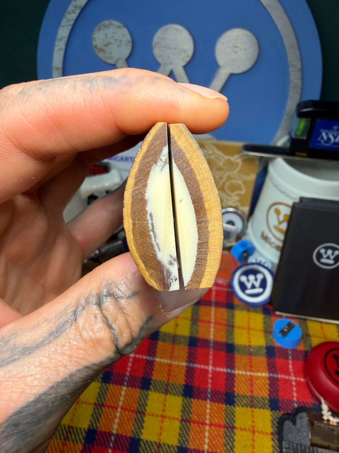 Stabilized Fossil Woolly Mammoth Tusk Scales WMT2 3 13/16”x1 3/8”x.37”