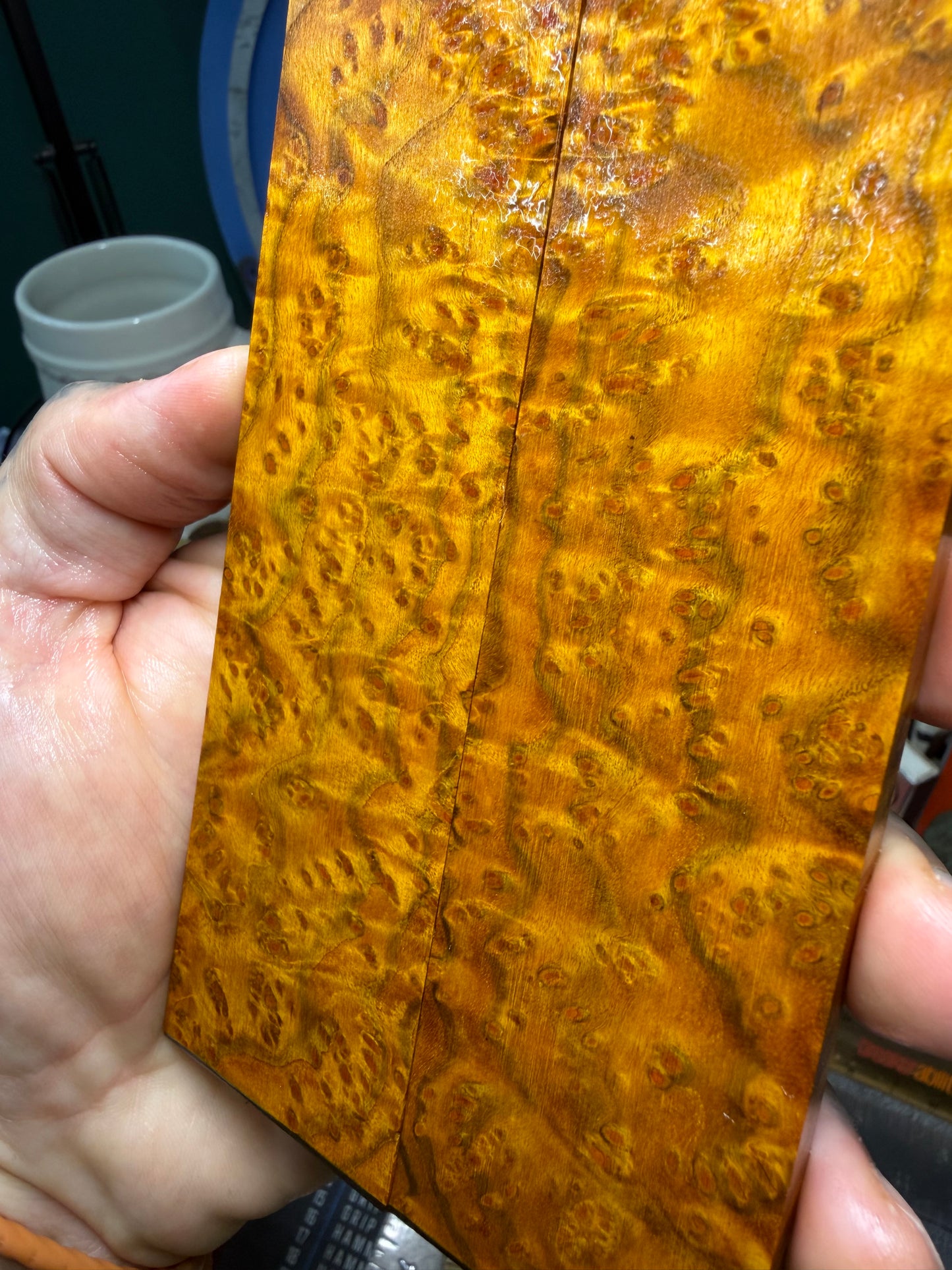 Chittum Burl Scales CHB1 5 7/8”x1 9/16”x.278