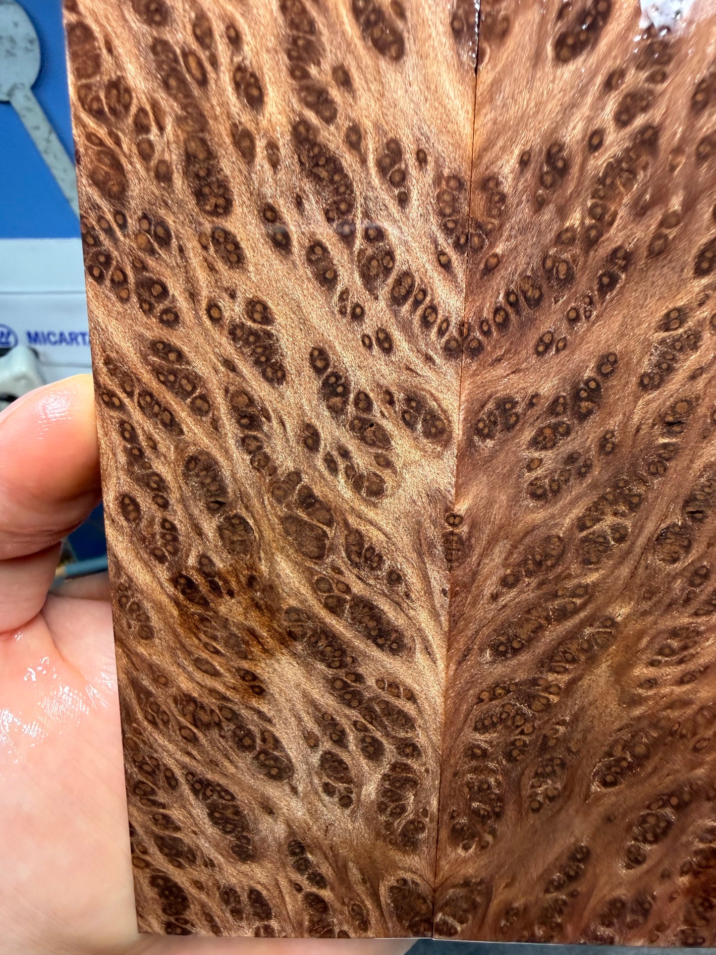 OG Redwood Burl Scales RWB3 5 5/8”x1 3/4”x.36”