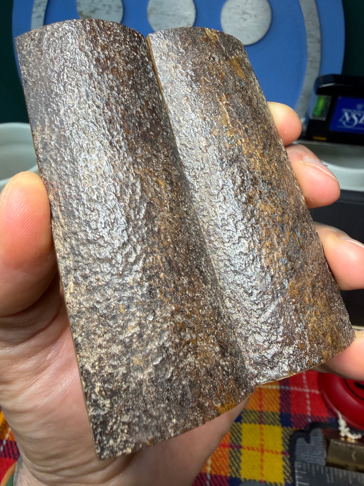 Stabilized Fossil Woolly Mammoth Tusk Scales WMT2 3 13/16”x1 3/8”x.37”