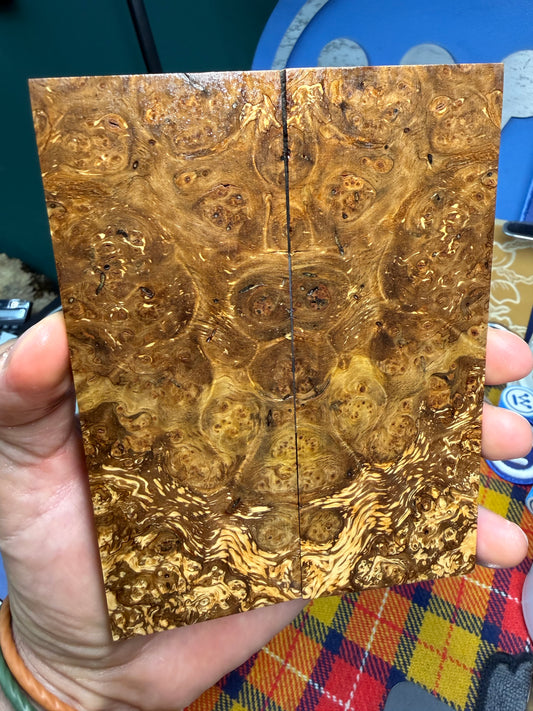 Spalted Almond Burl Scales SALB1 5 3/4”x2 1/16”x.42”