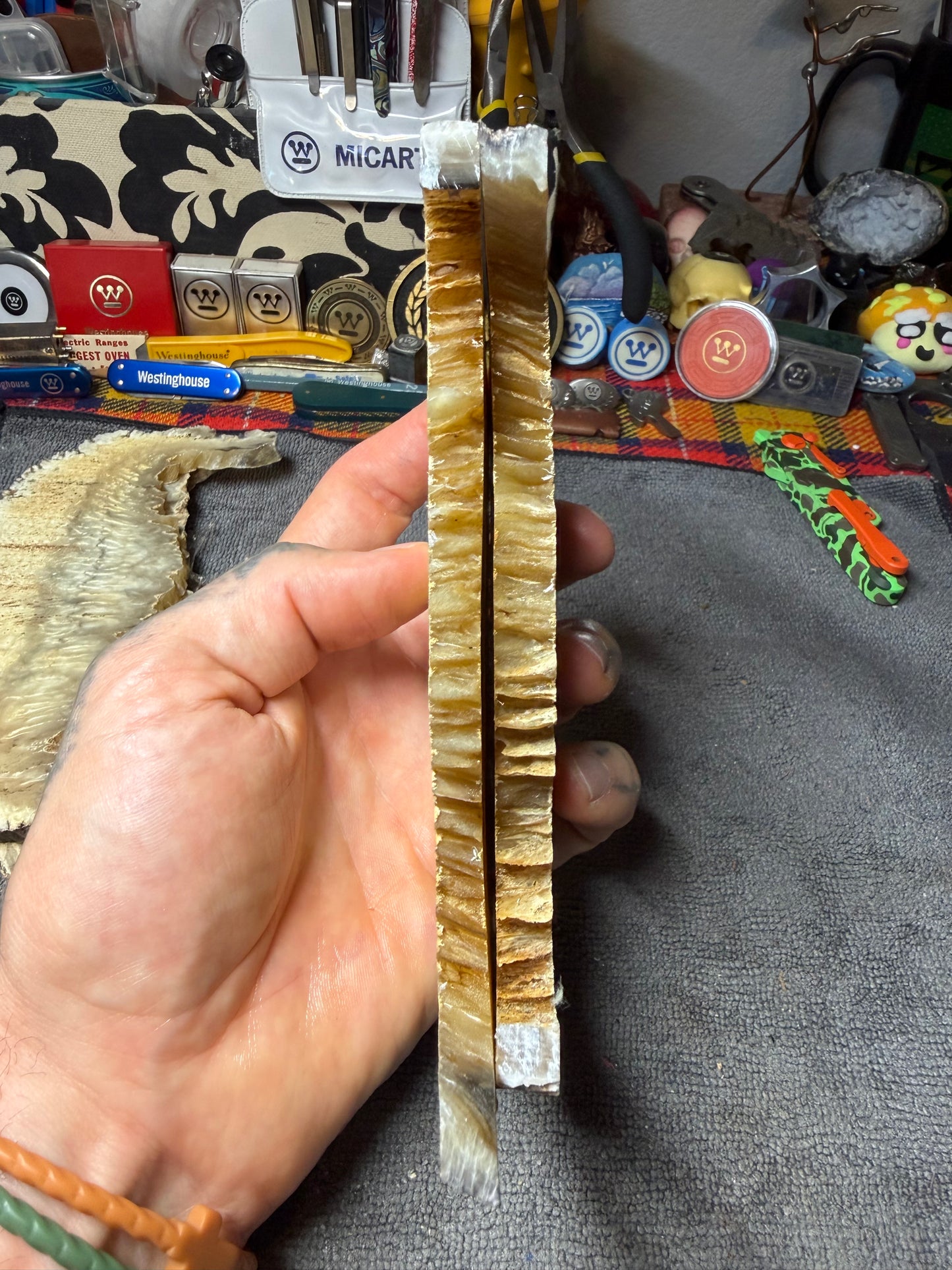 Musk Ox Scales (Set 1) 5 5/8” x 1 1/4”-2 1/4” x .31”