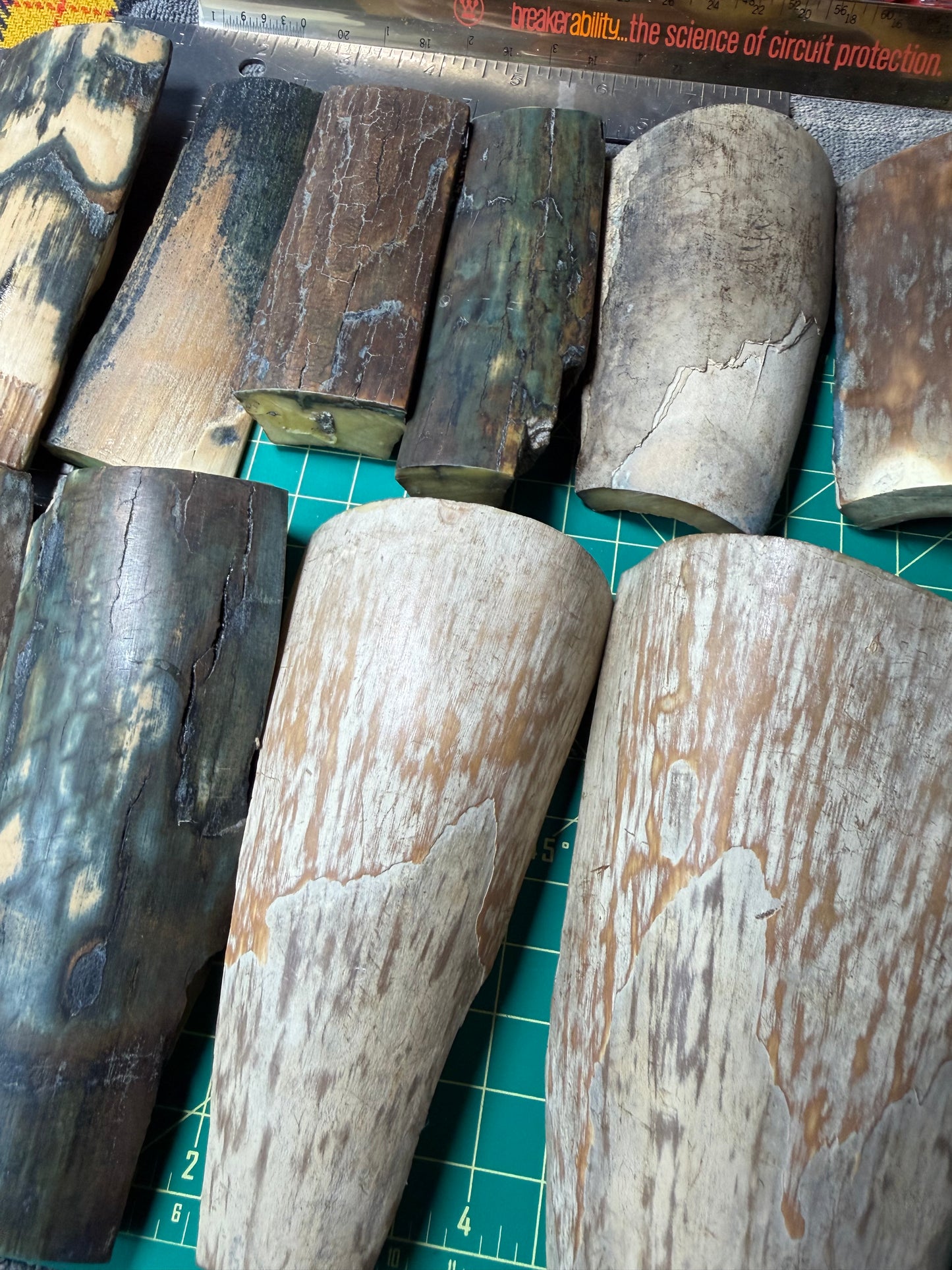 Fossil Woolly Mammoth Tusk (15 PC Lot)
