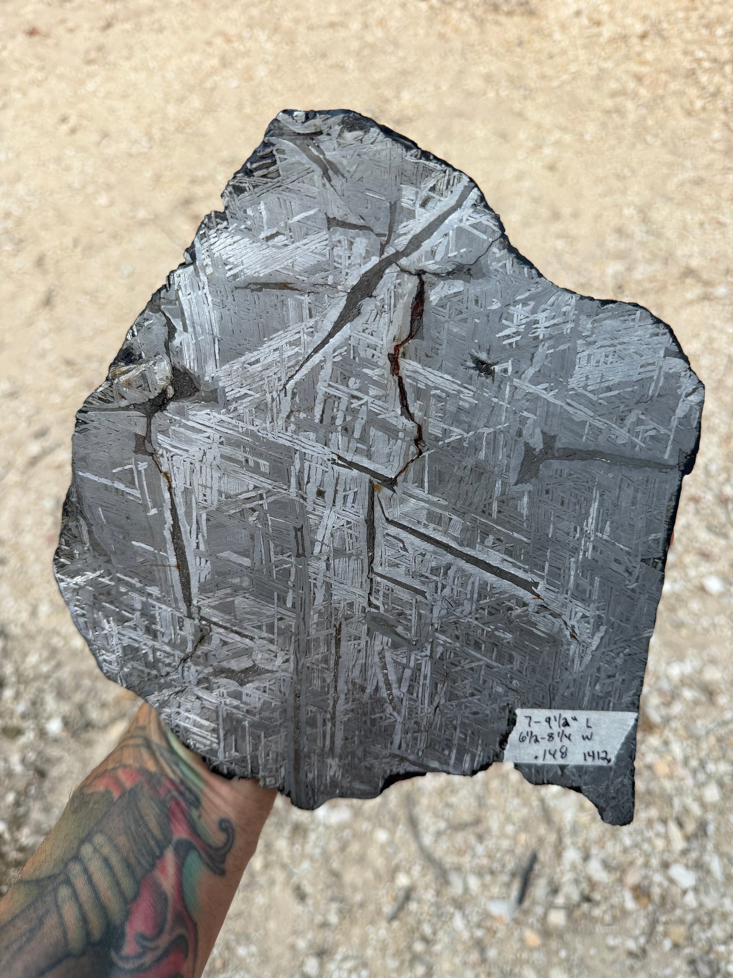 Aletai Meteorite (5) 7-9 1/2” x 6 1/2-8 1/4” x .148” (1412 Grams)