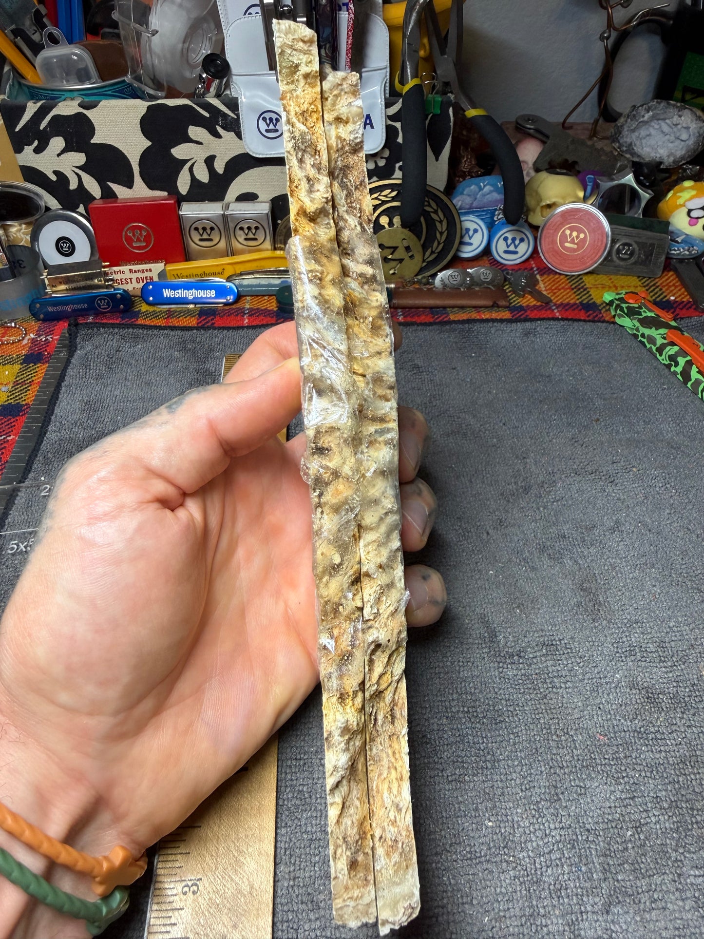 Musk Ox Scales (Set 3) 7 1/2” x 1 1/2”-2 1/4” x .4”