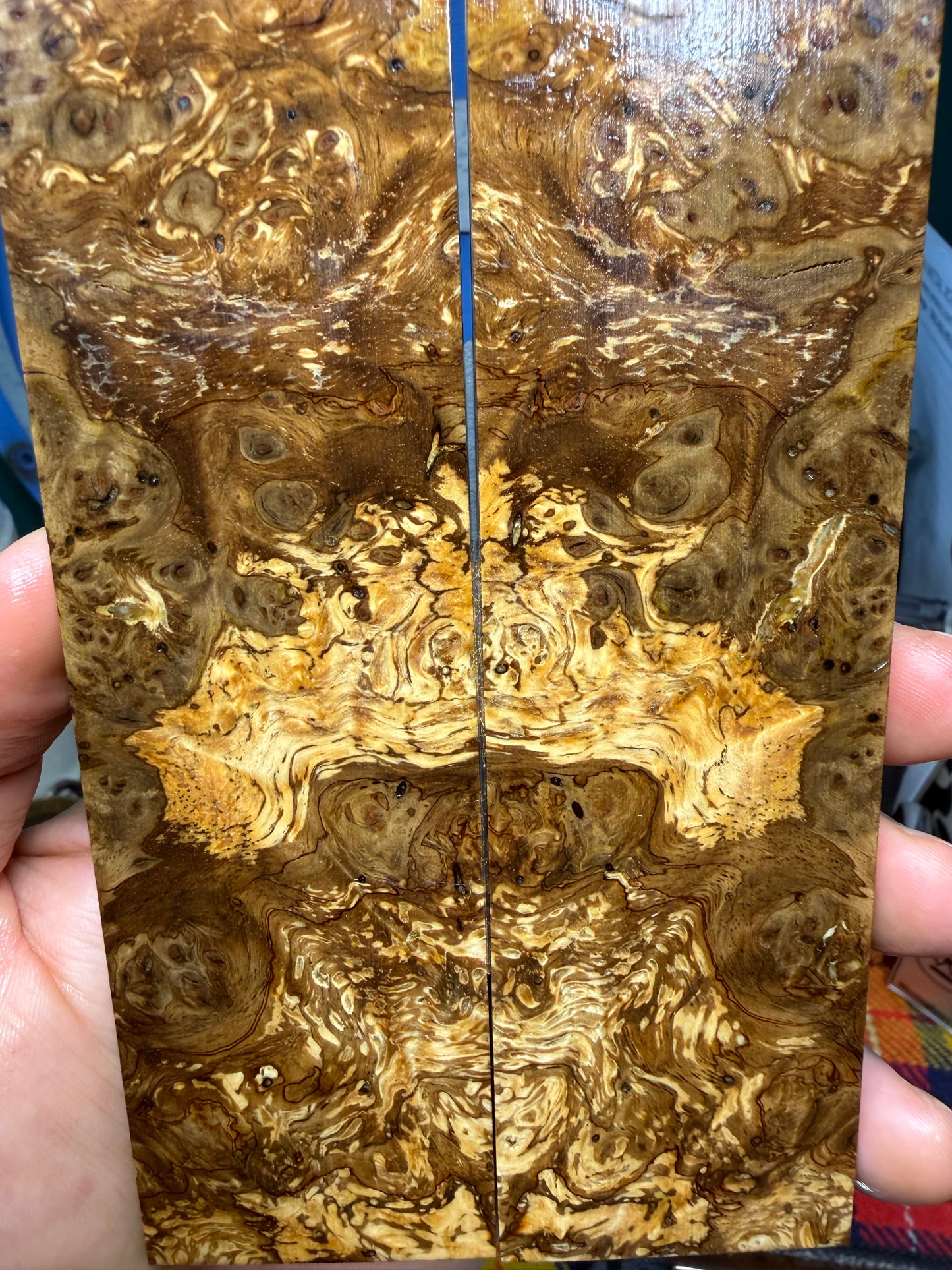 Spalted Almond Burl Scales SALB4 5 5/8”x1 11/16”x.42”