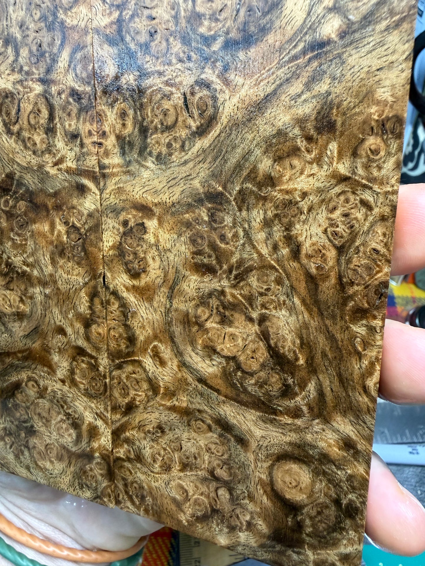 Turkish Walnut Burl Scales TWB1 5”x2 3/8”x.48”